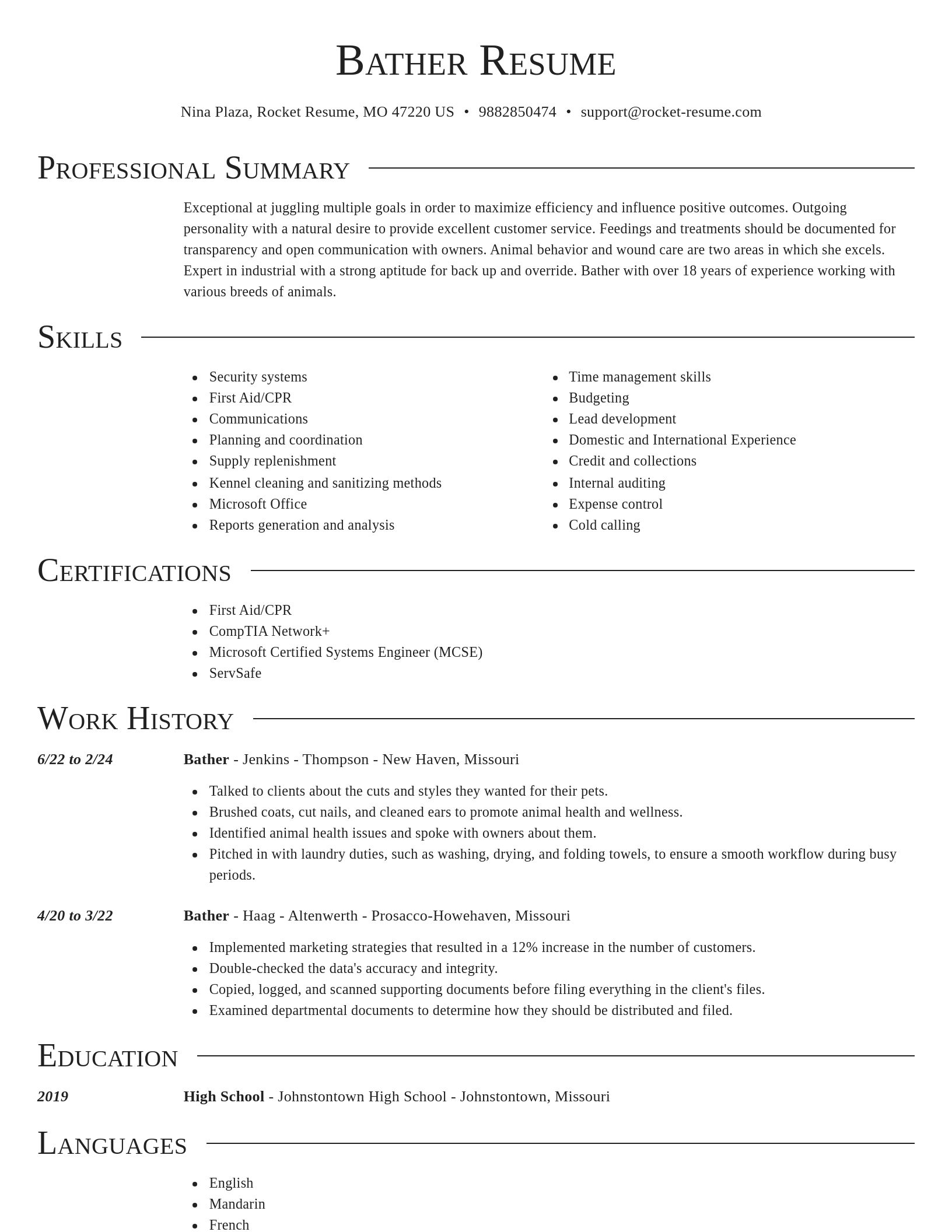 Director resume template