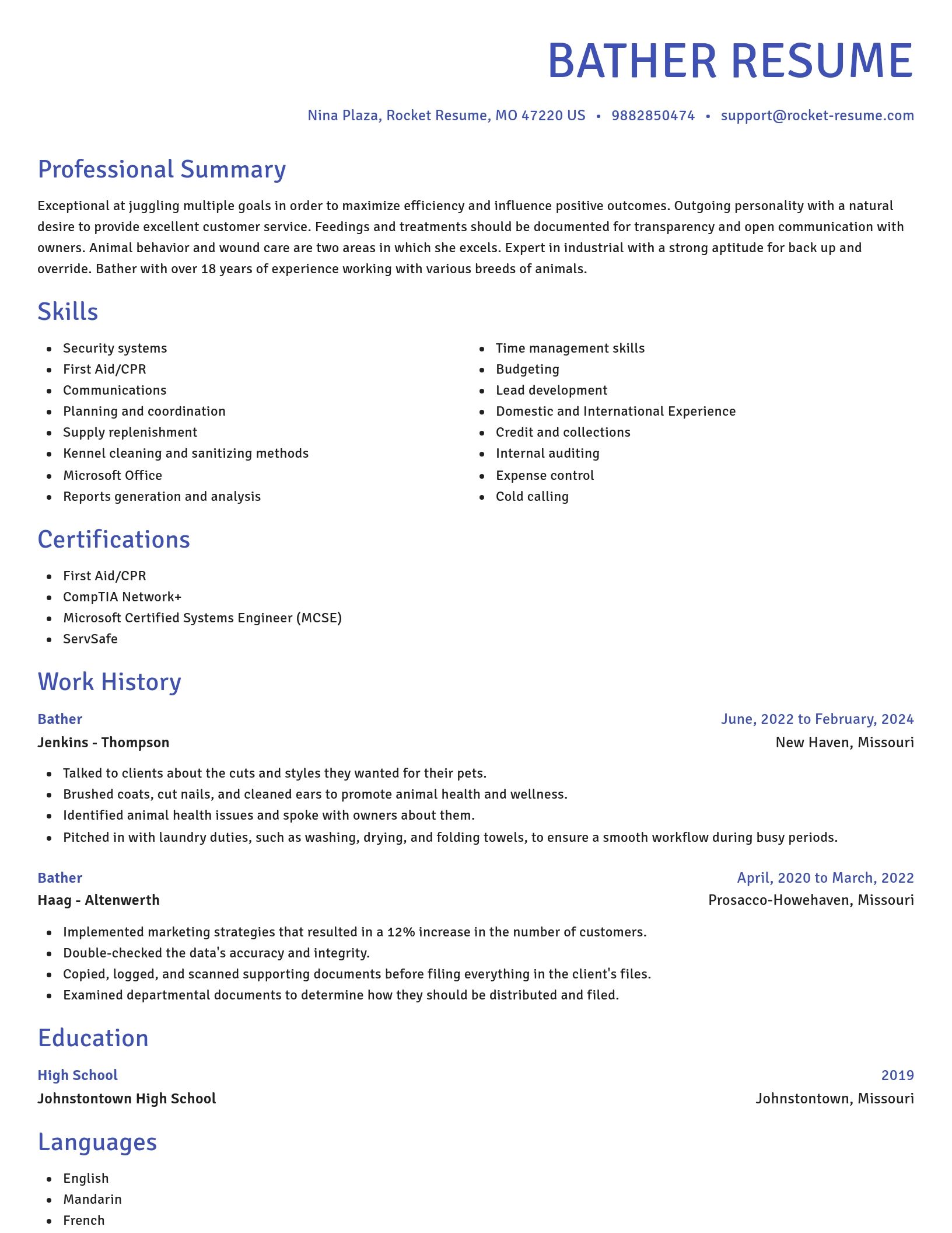 Novel resume template