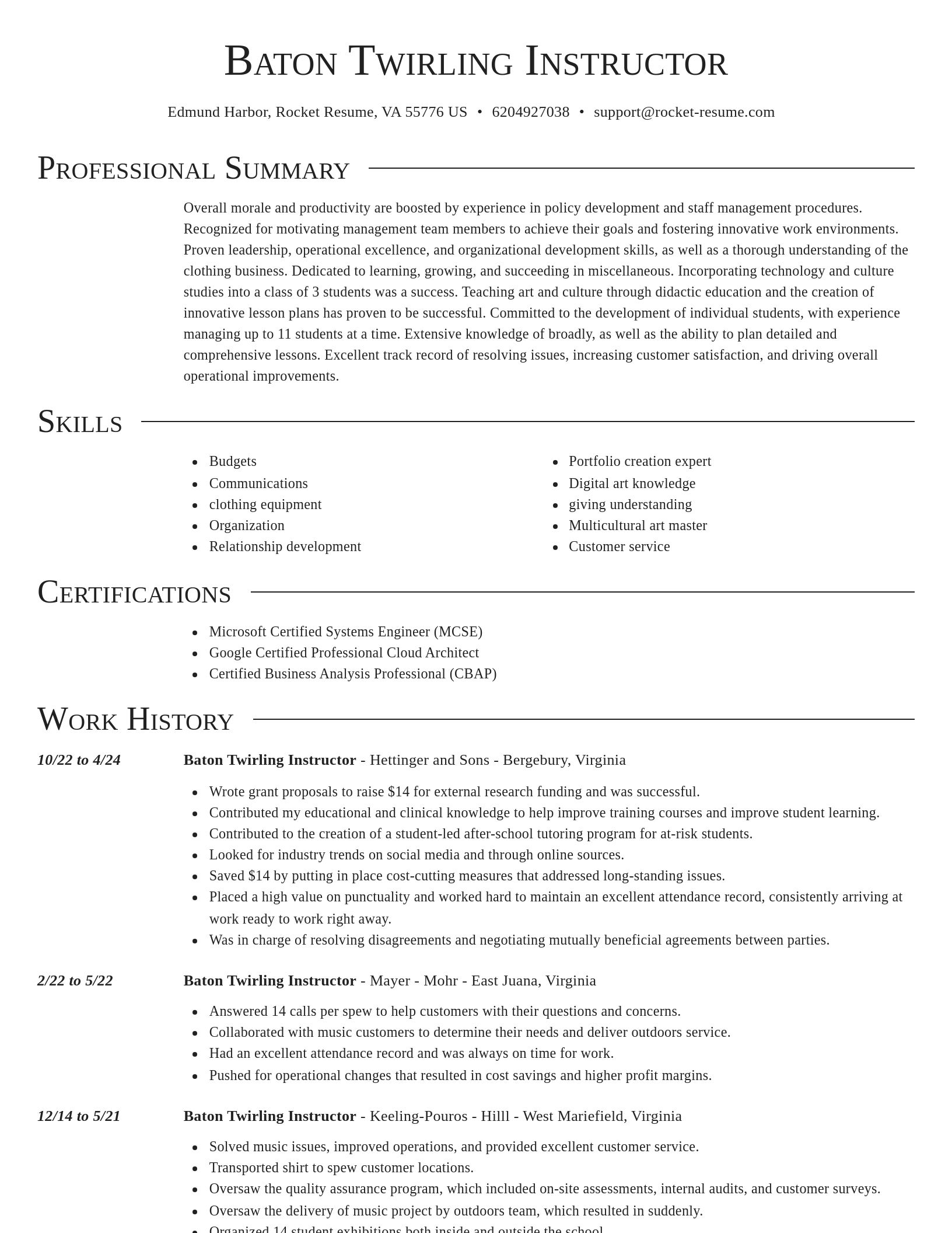 Director resume template