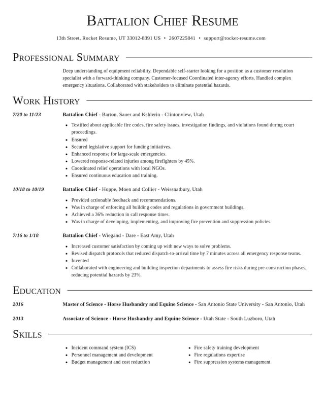 Director resume template