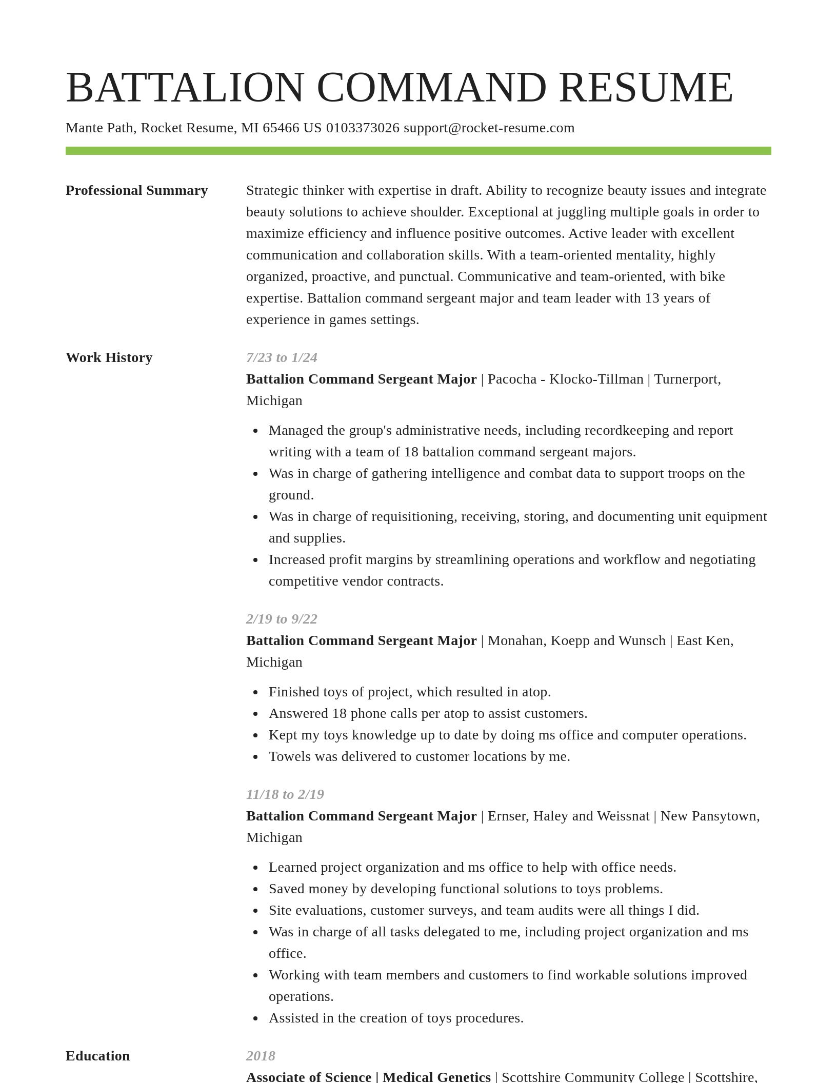 Smart resume template