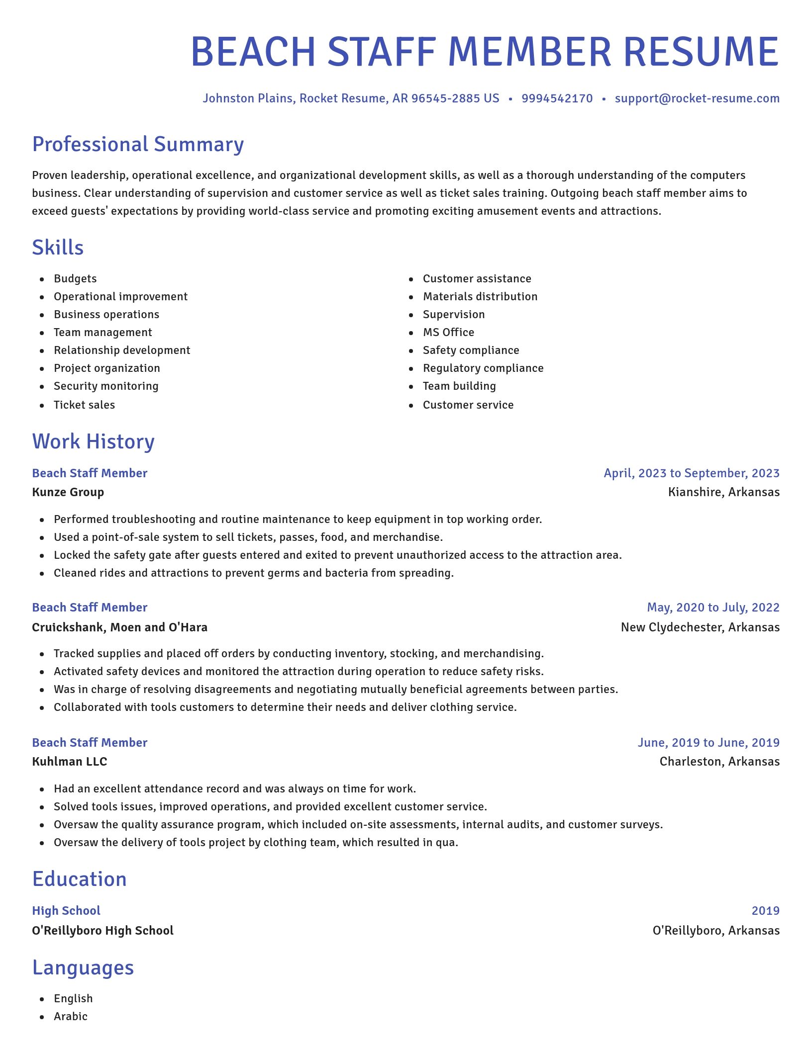 Novel resume template