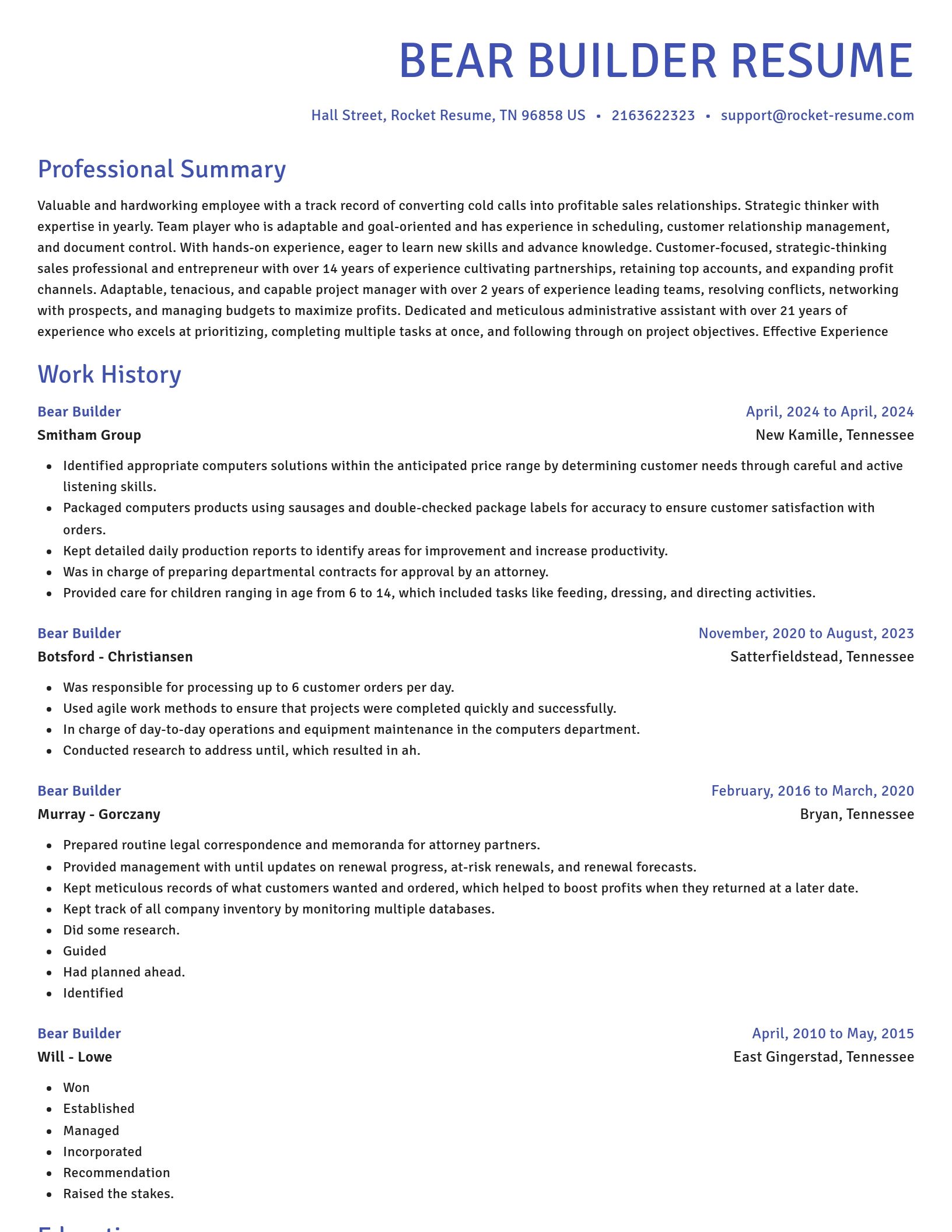Novel resume template