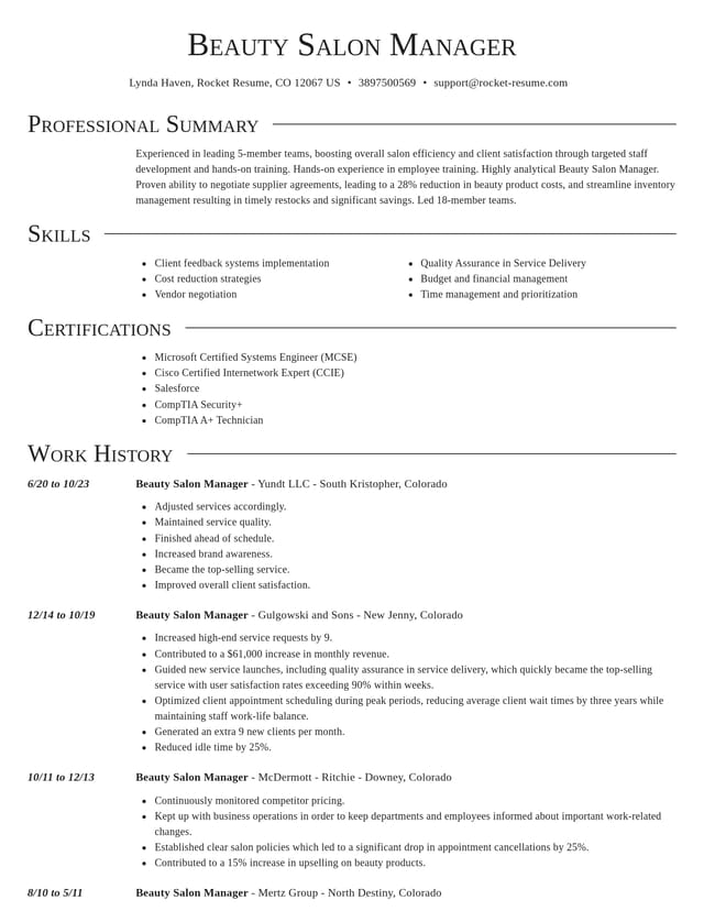 Director resume template