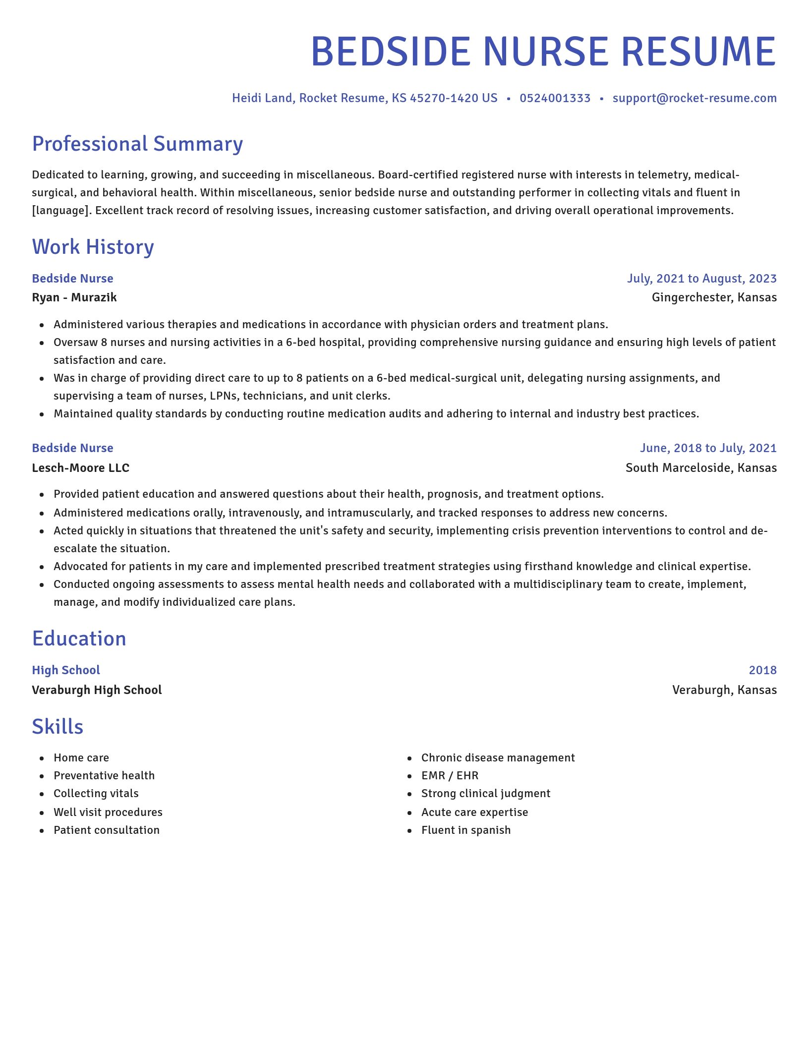 Novel resume template