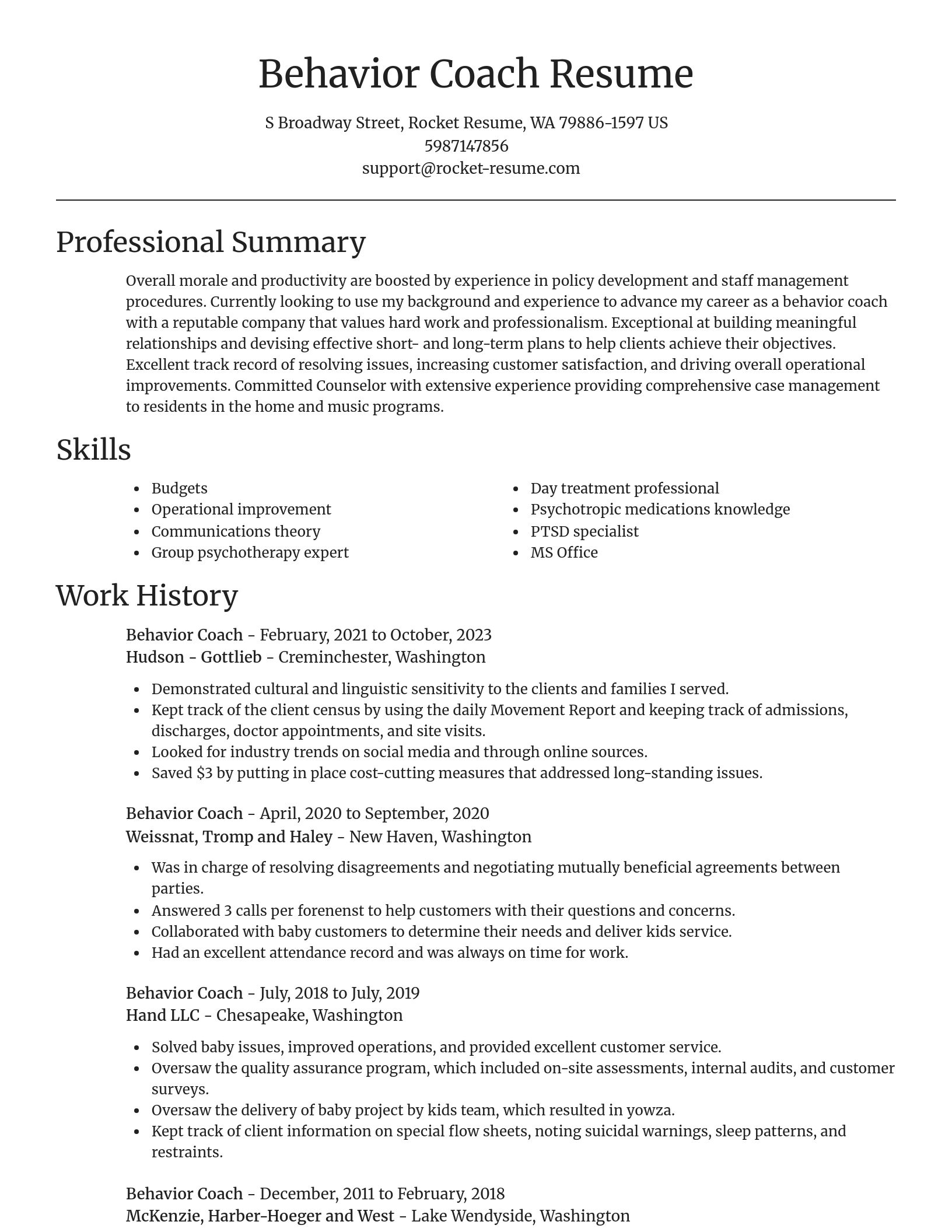 Focal Point resume template