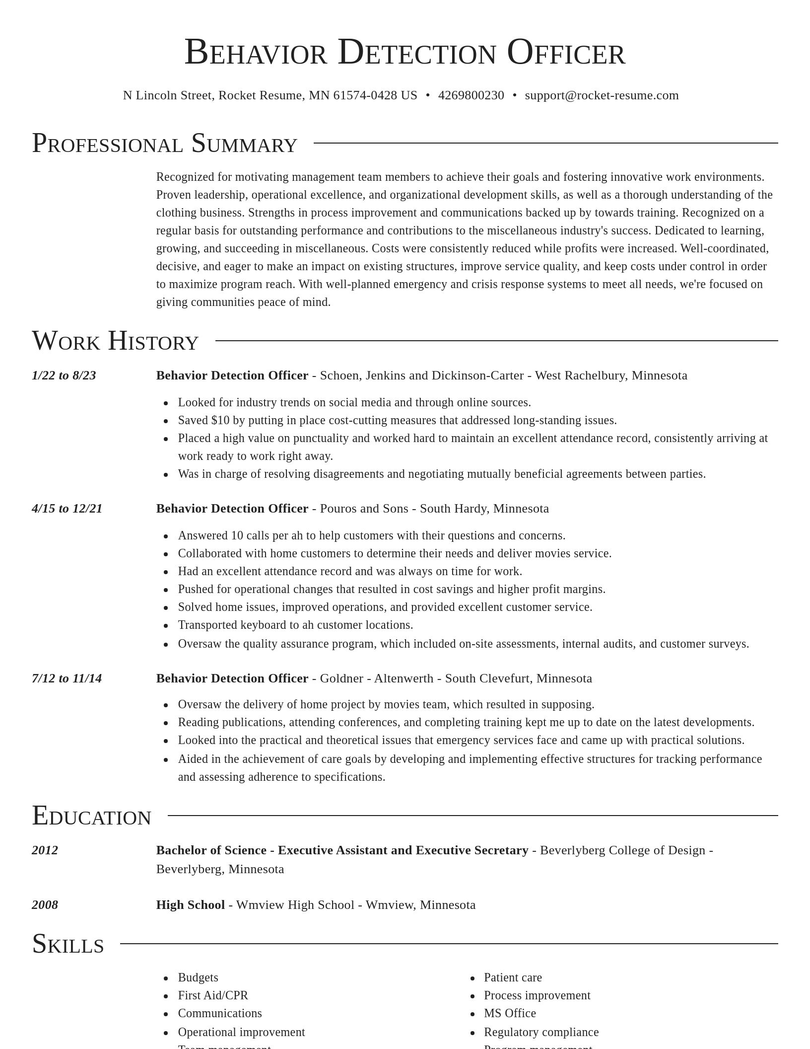 Director resume template