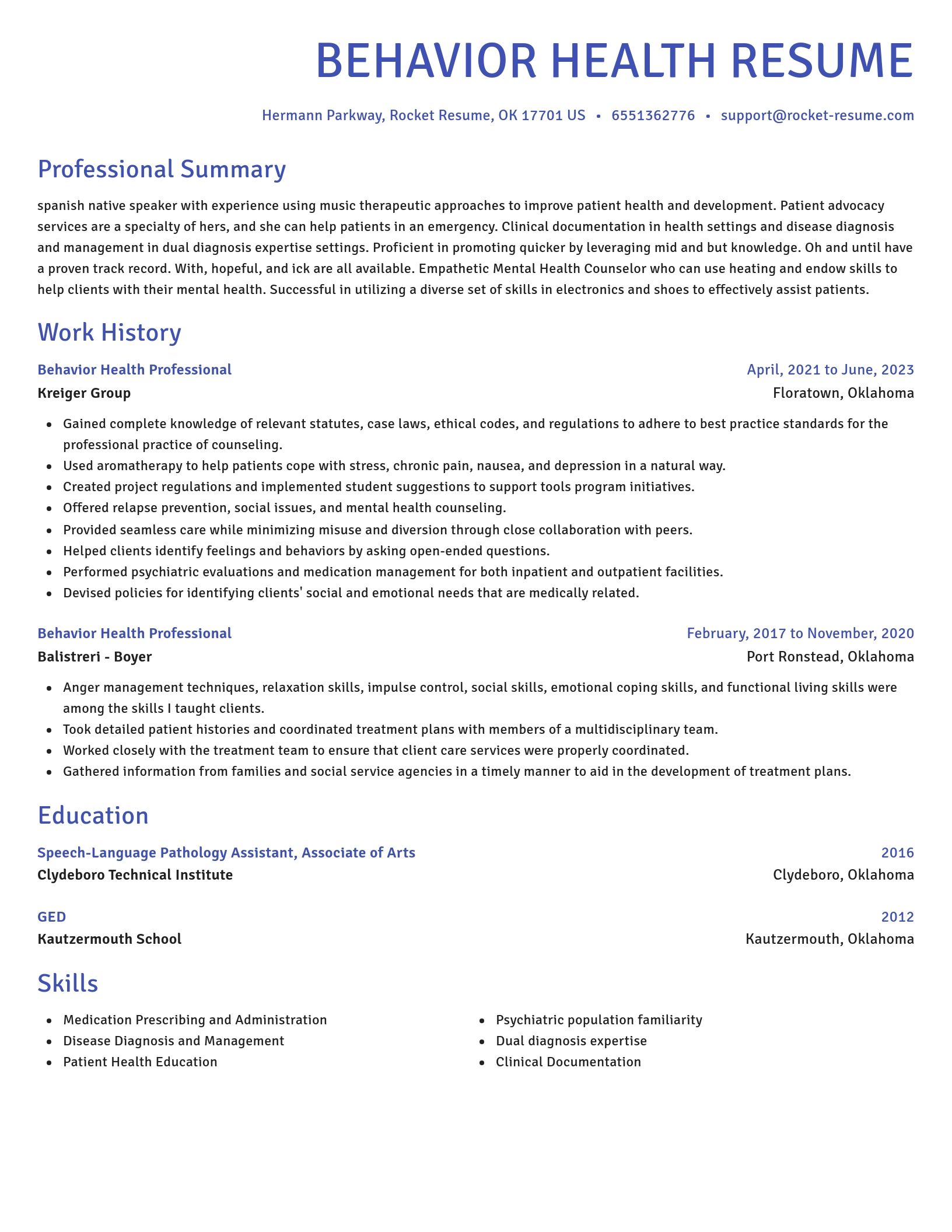 Novel resume template