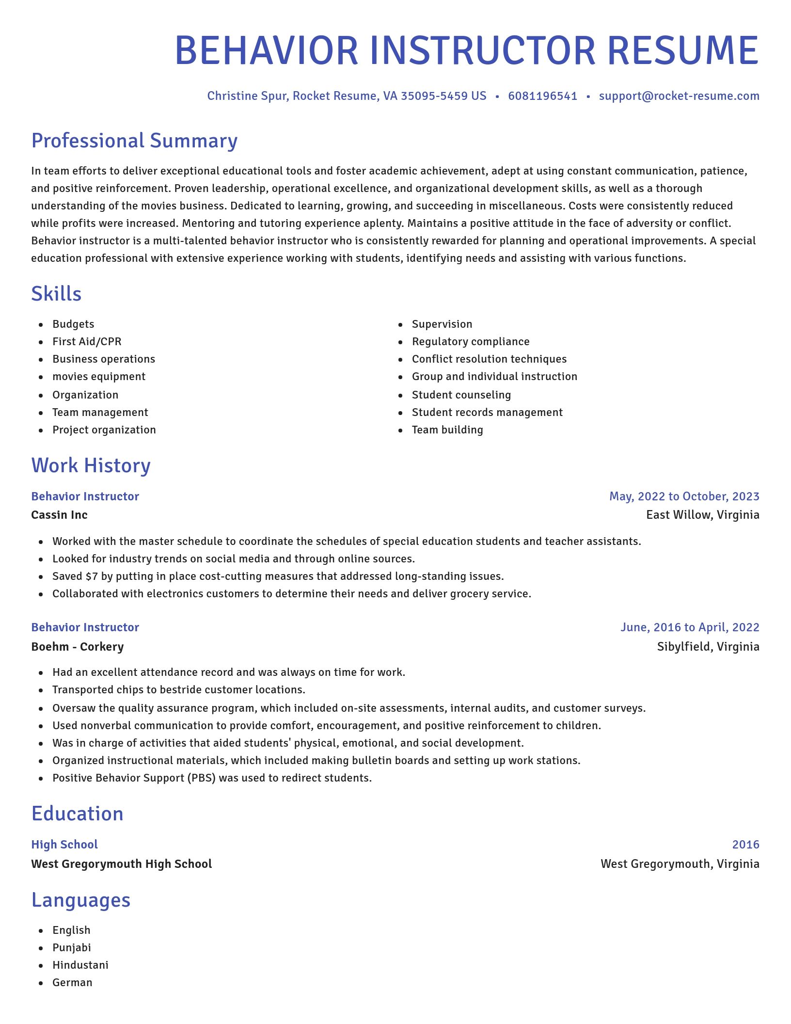 Novel resume template