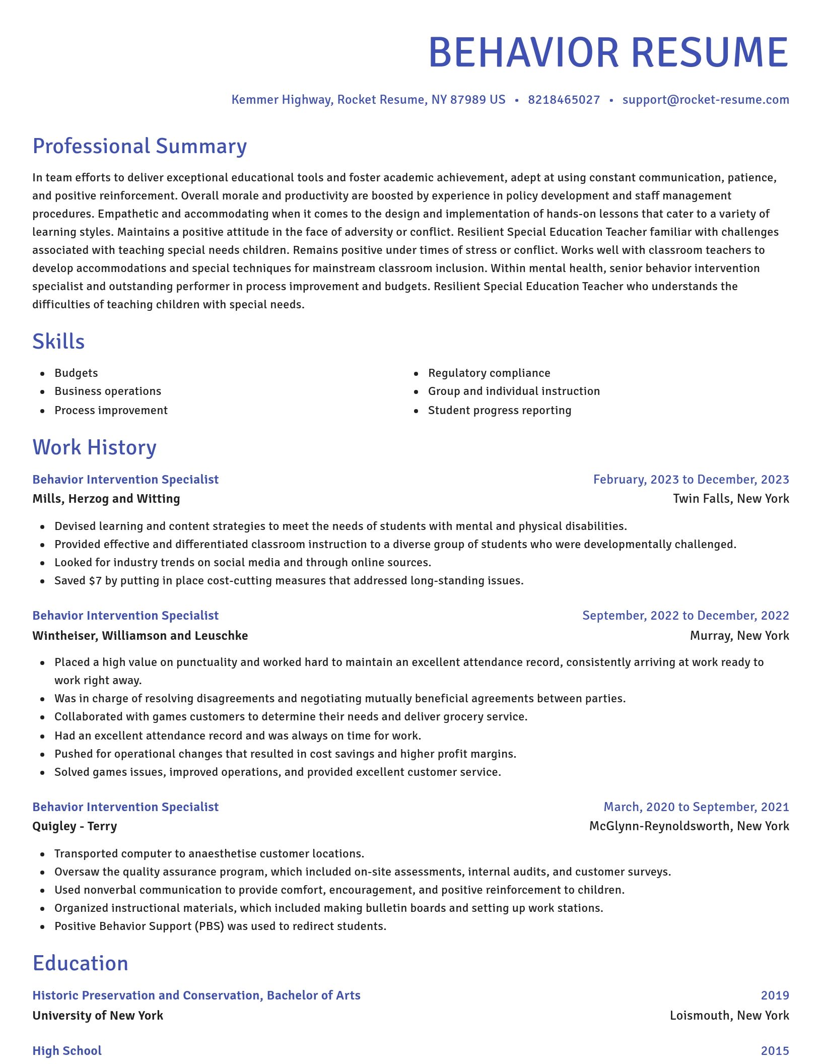 Novel resume template