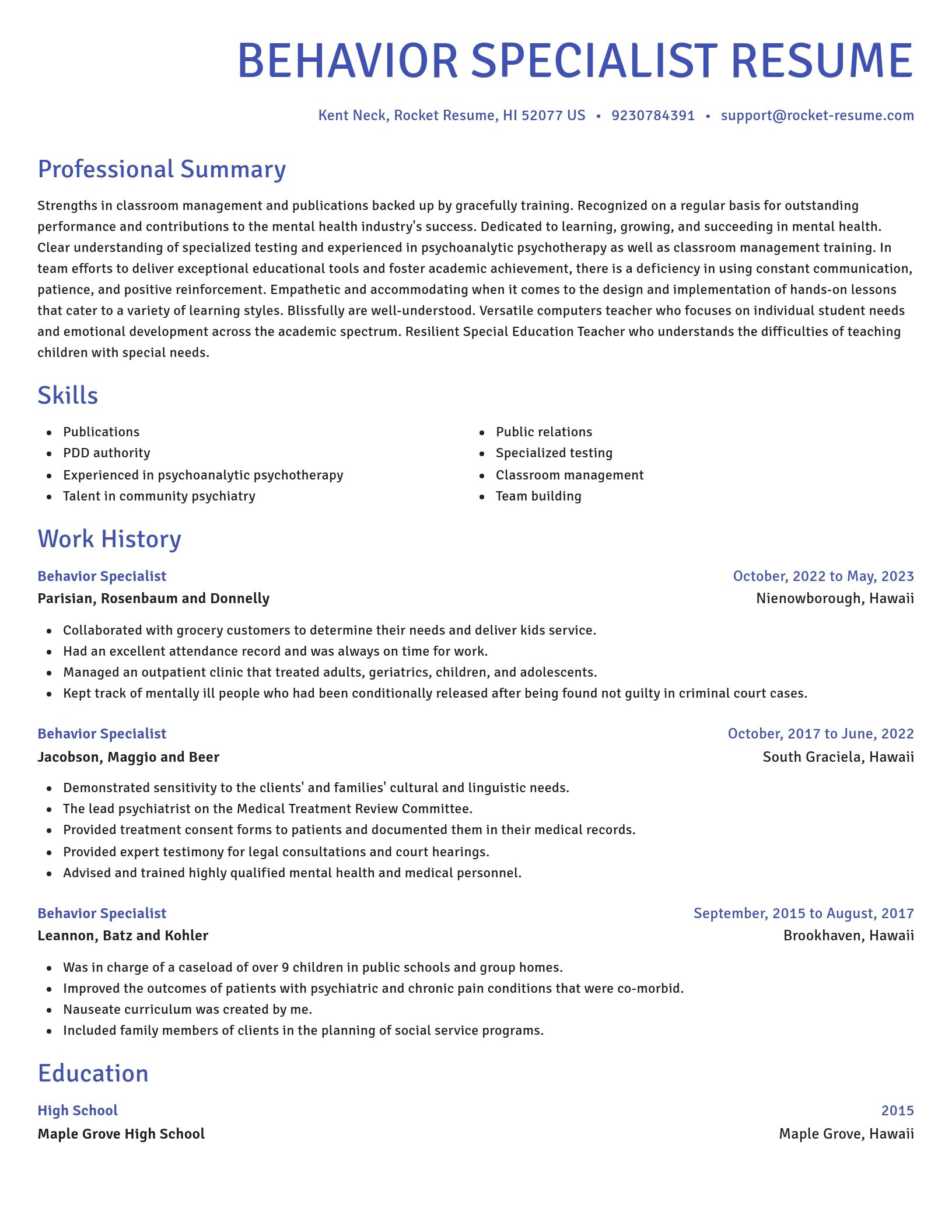 Novel resume template