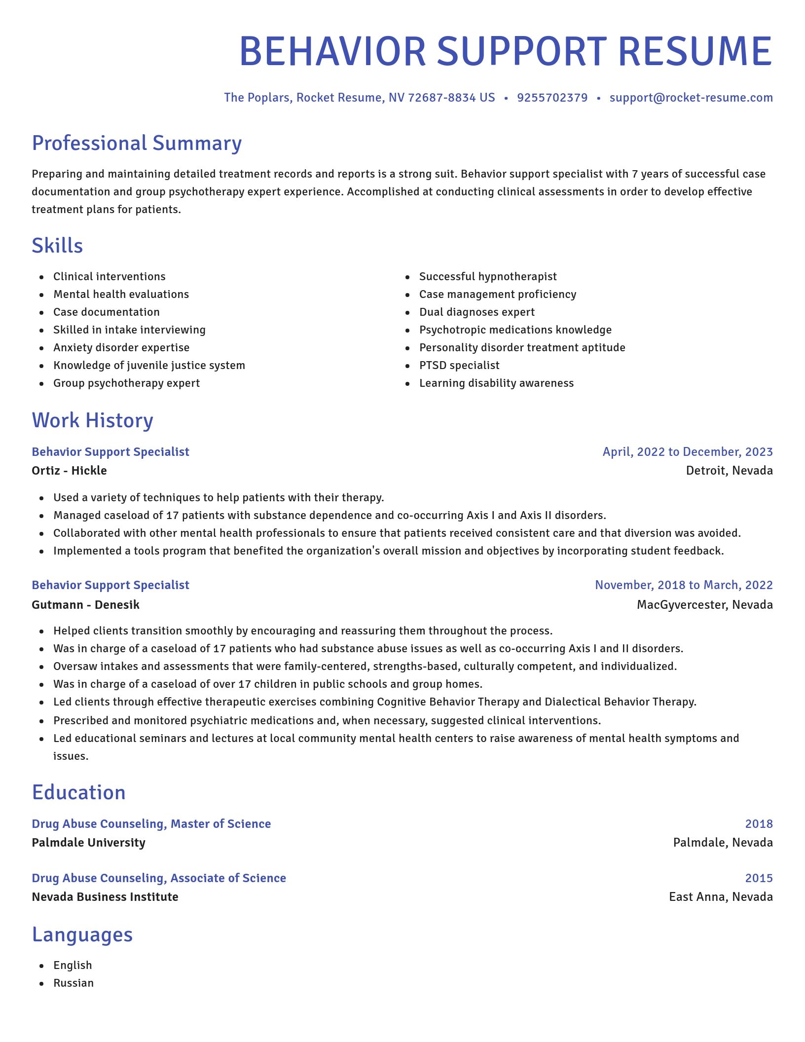 Novel resume template