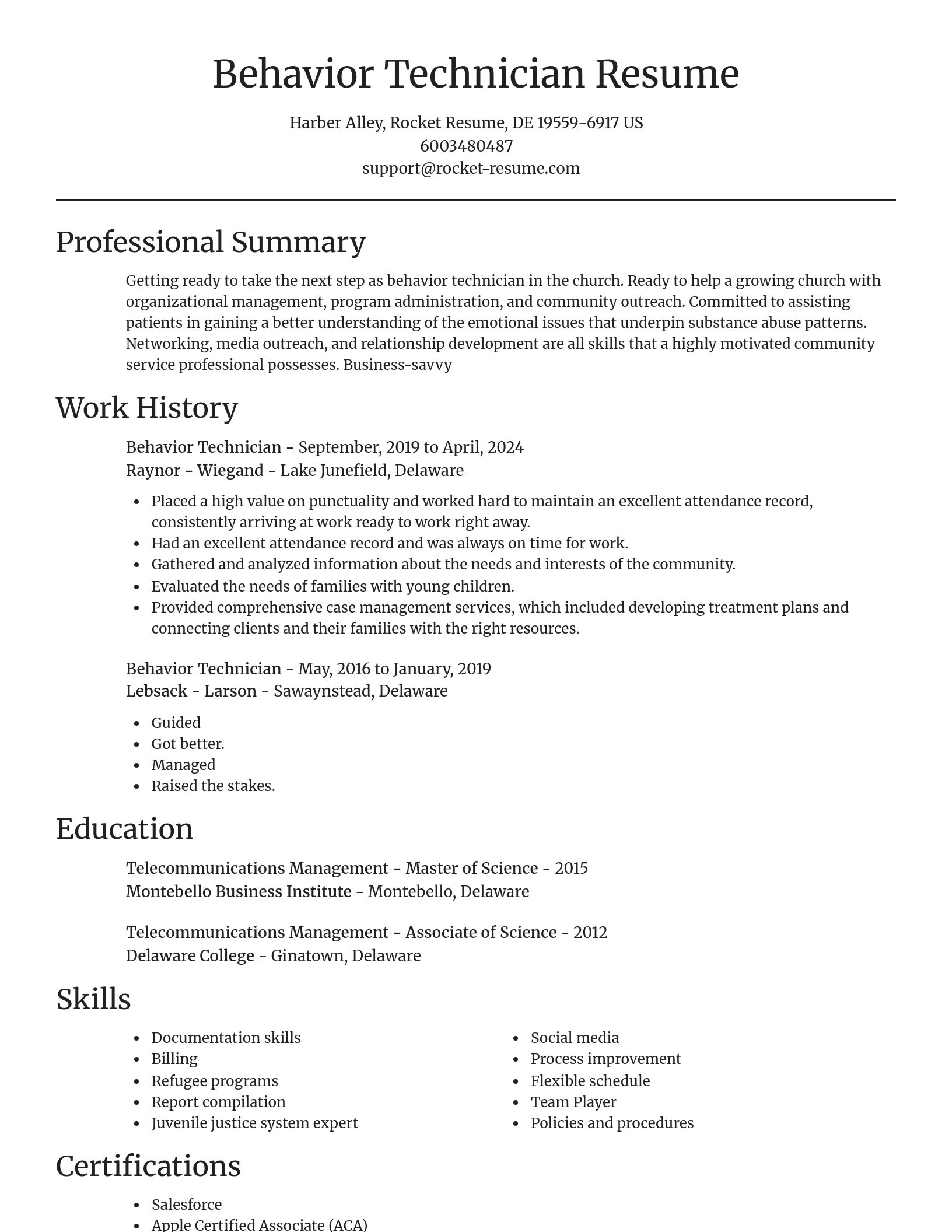 Focal Point resume template