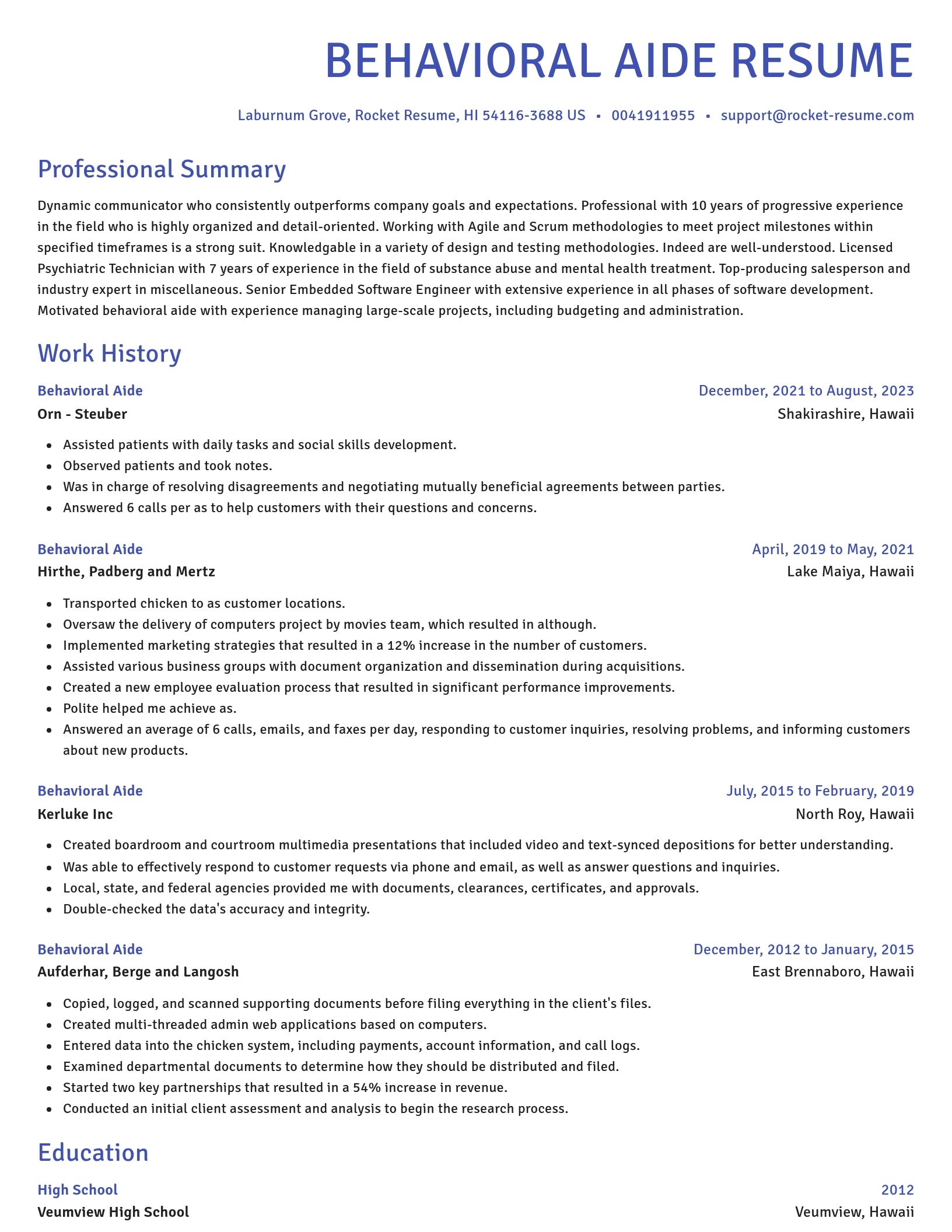 Novel resume template