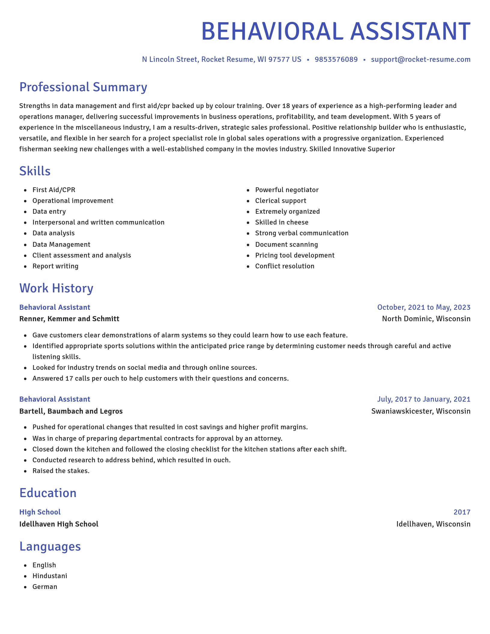 Novel resume template