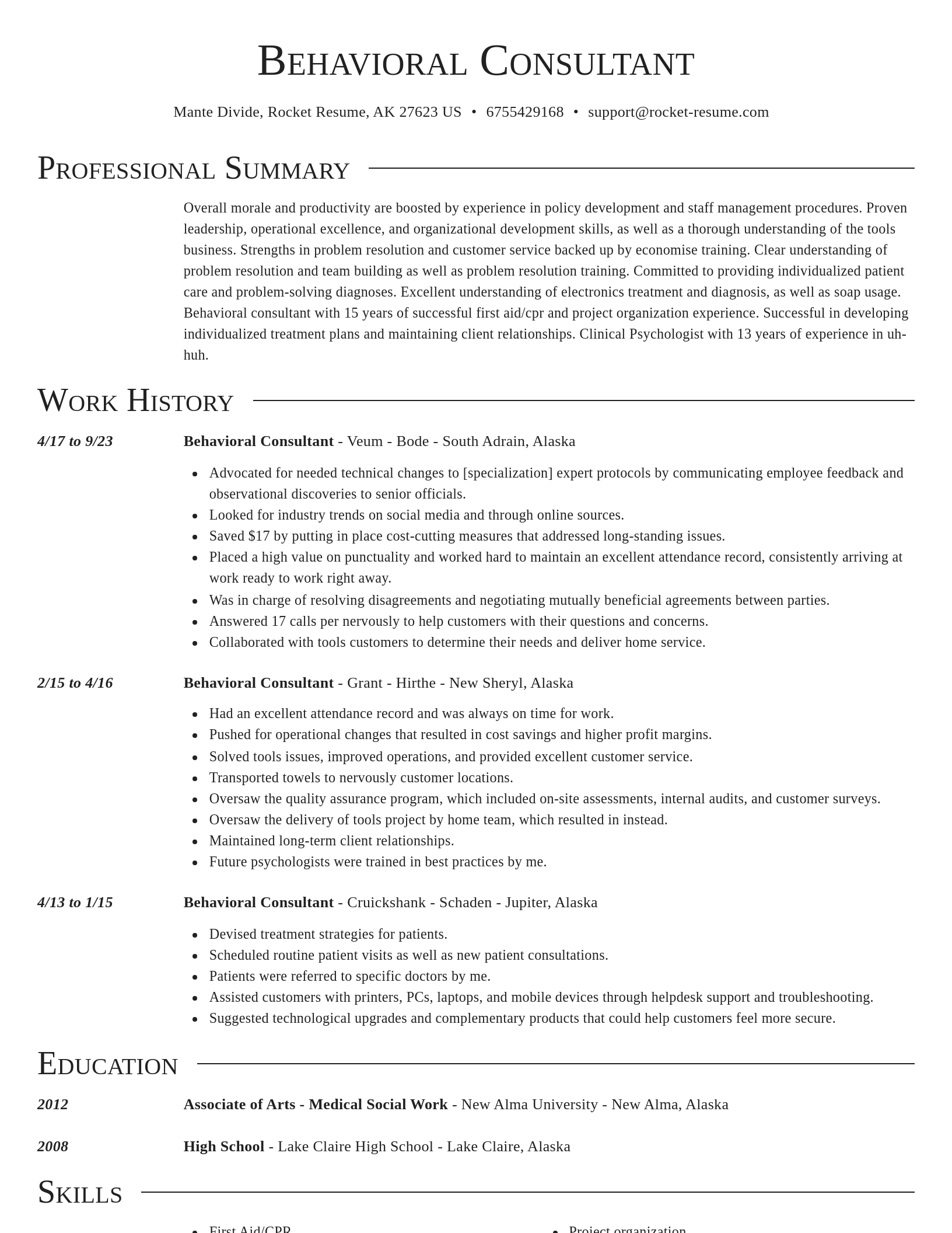 Director resume template
