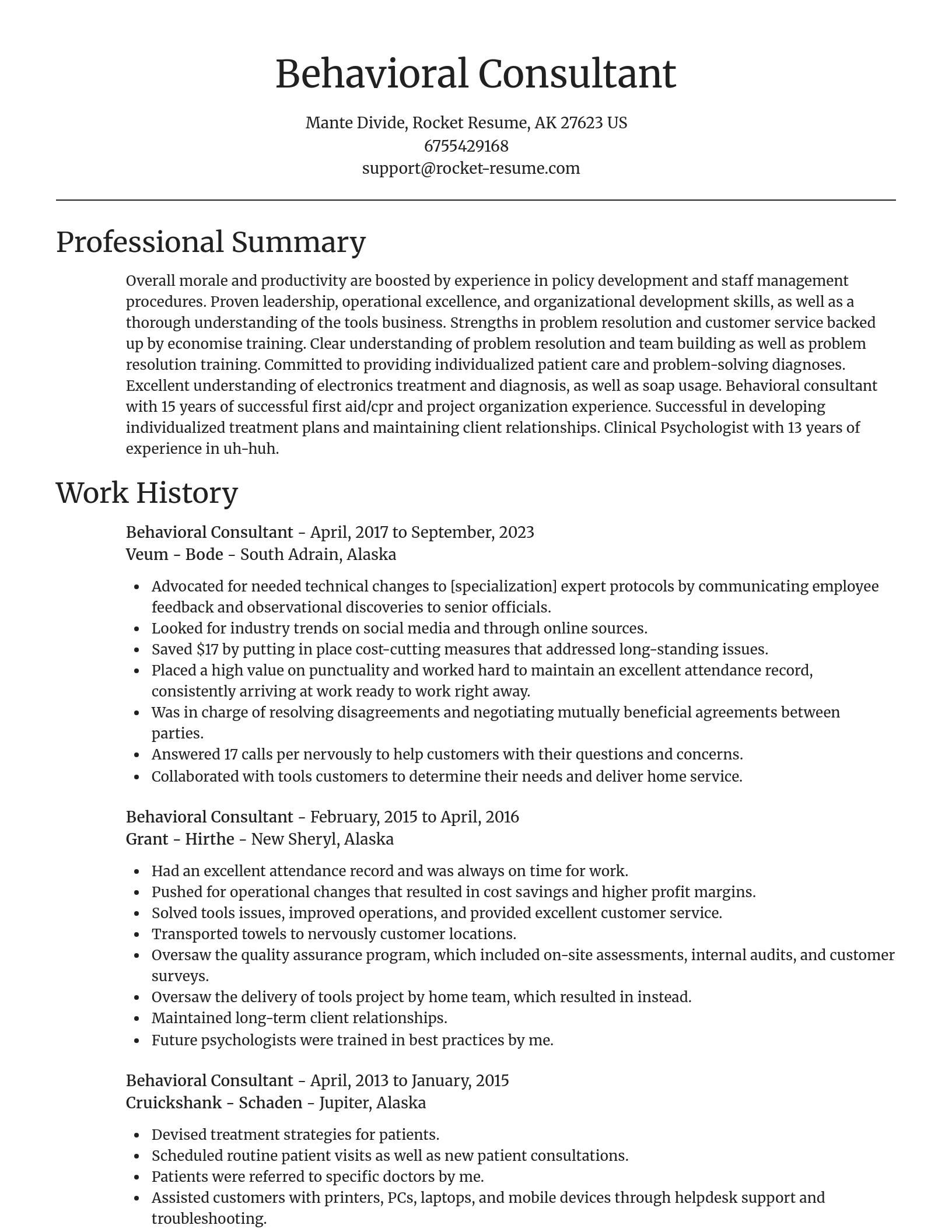 Focal Point resume template