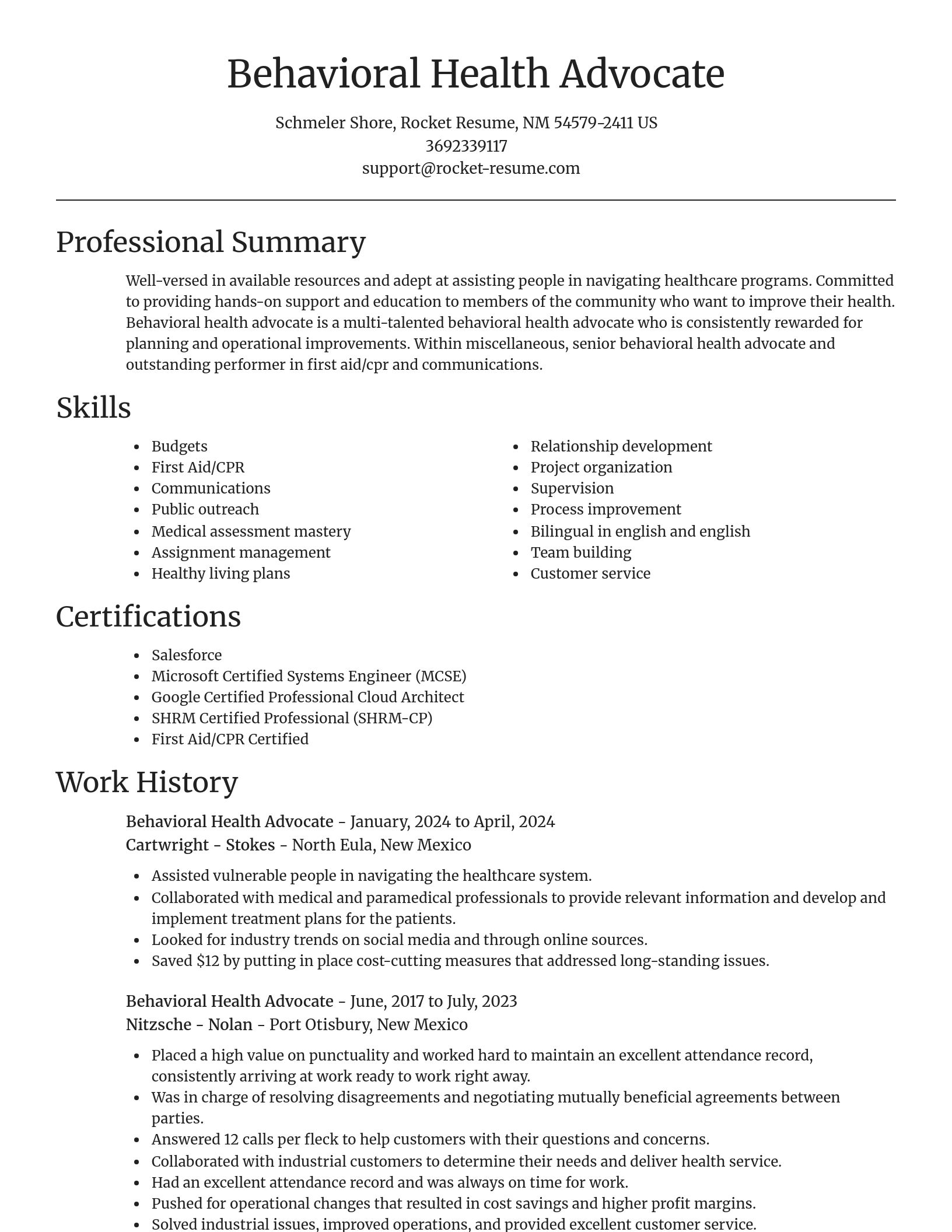 Focal Point resume template