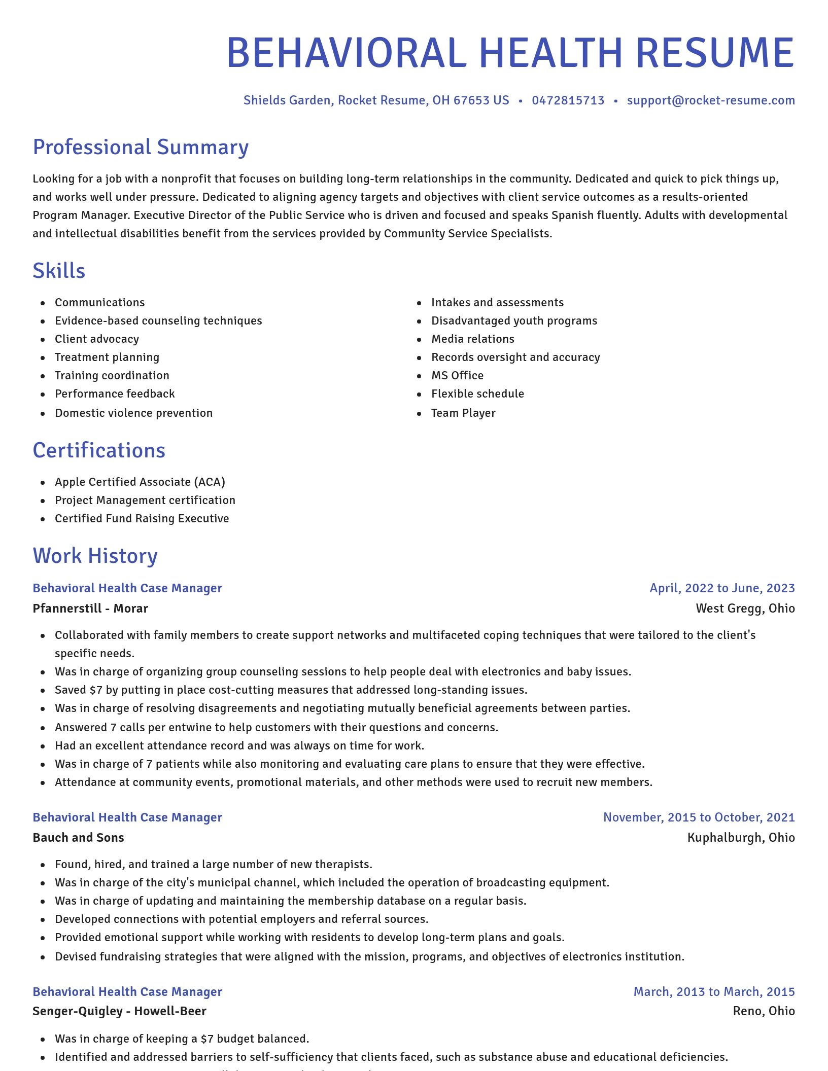 Novel resume template