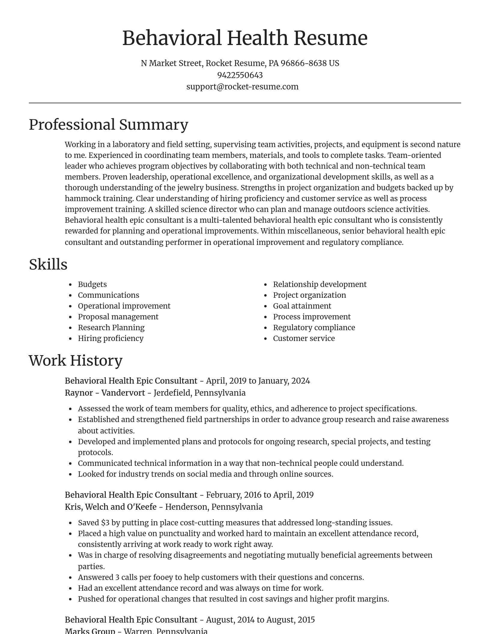 Focal Point resume template