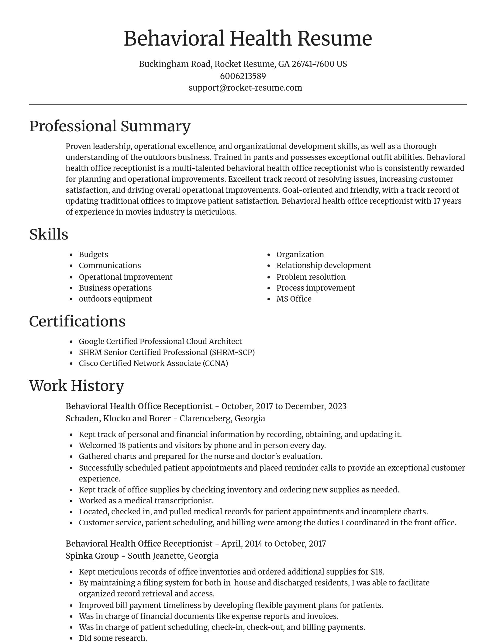 Focal Point resume template