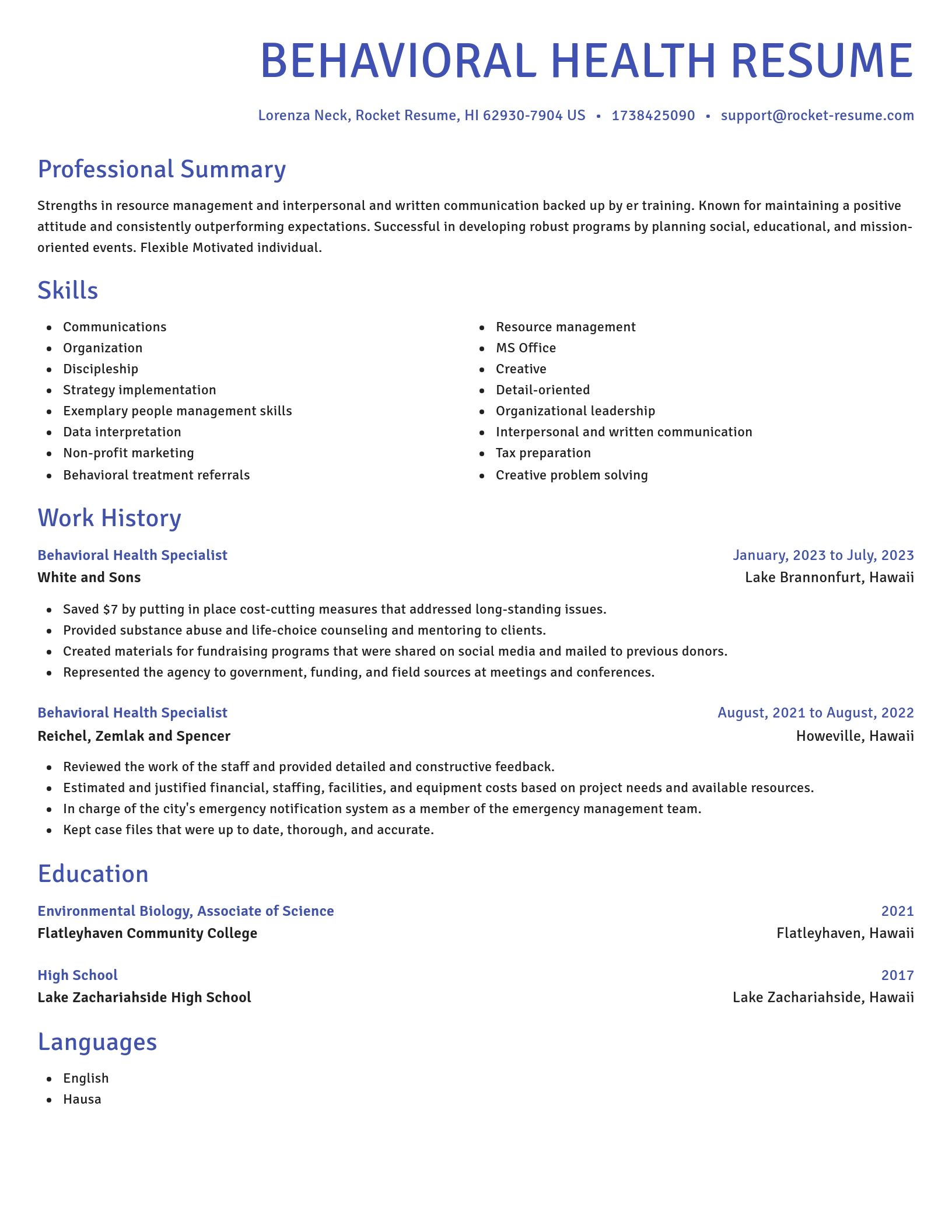 Novel resume template