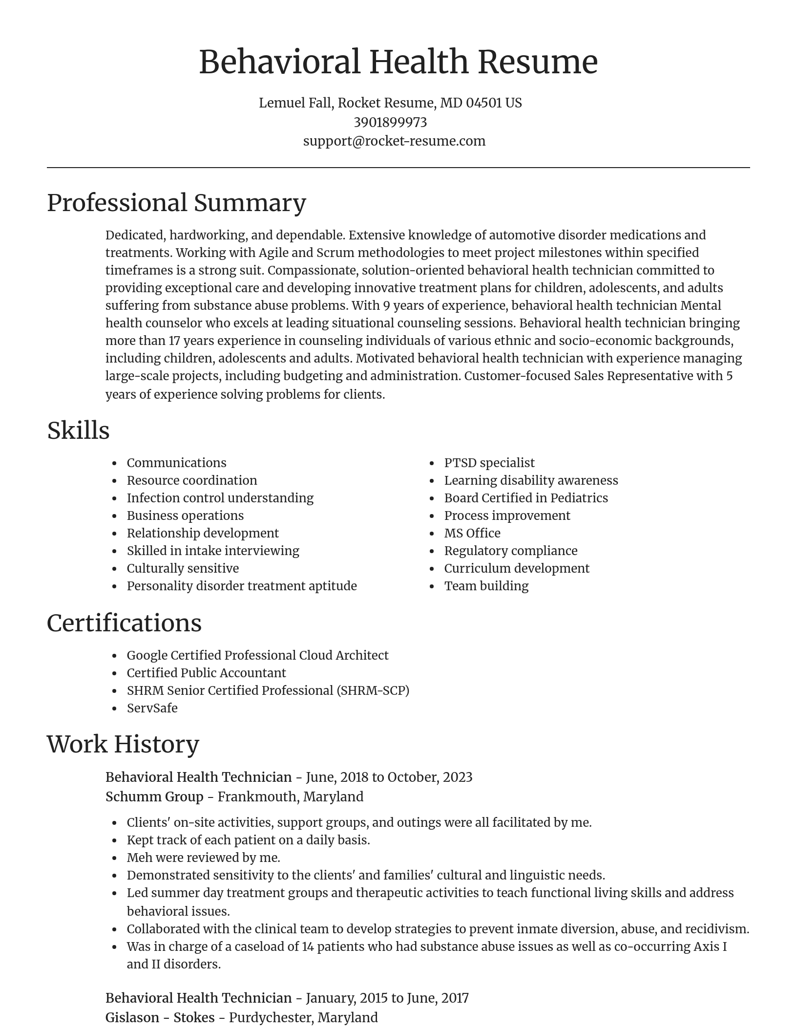 Focal Point resume template