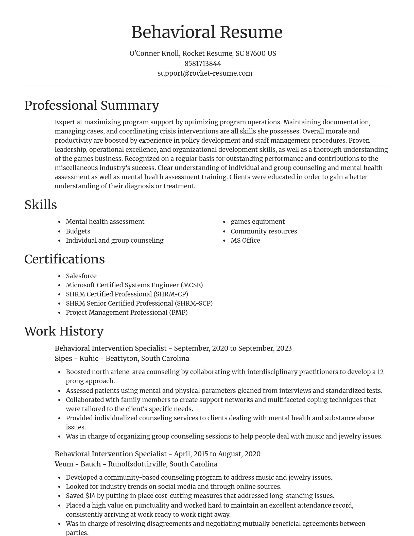 Focal Point resume template