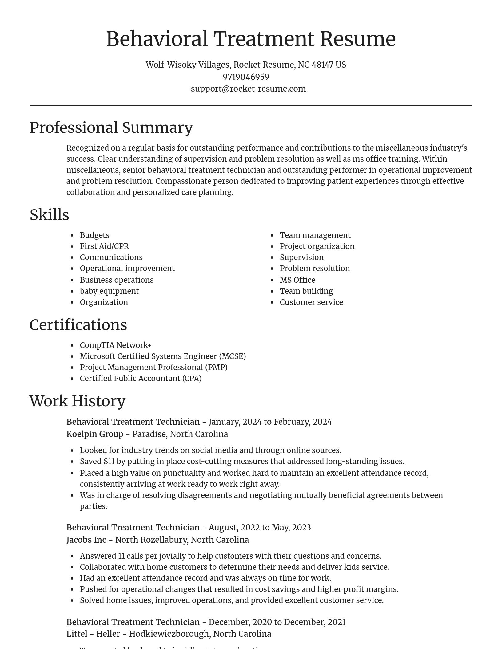 Focal Point resume template