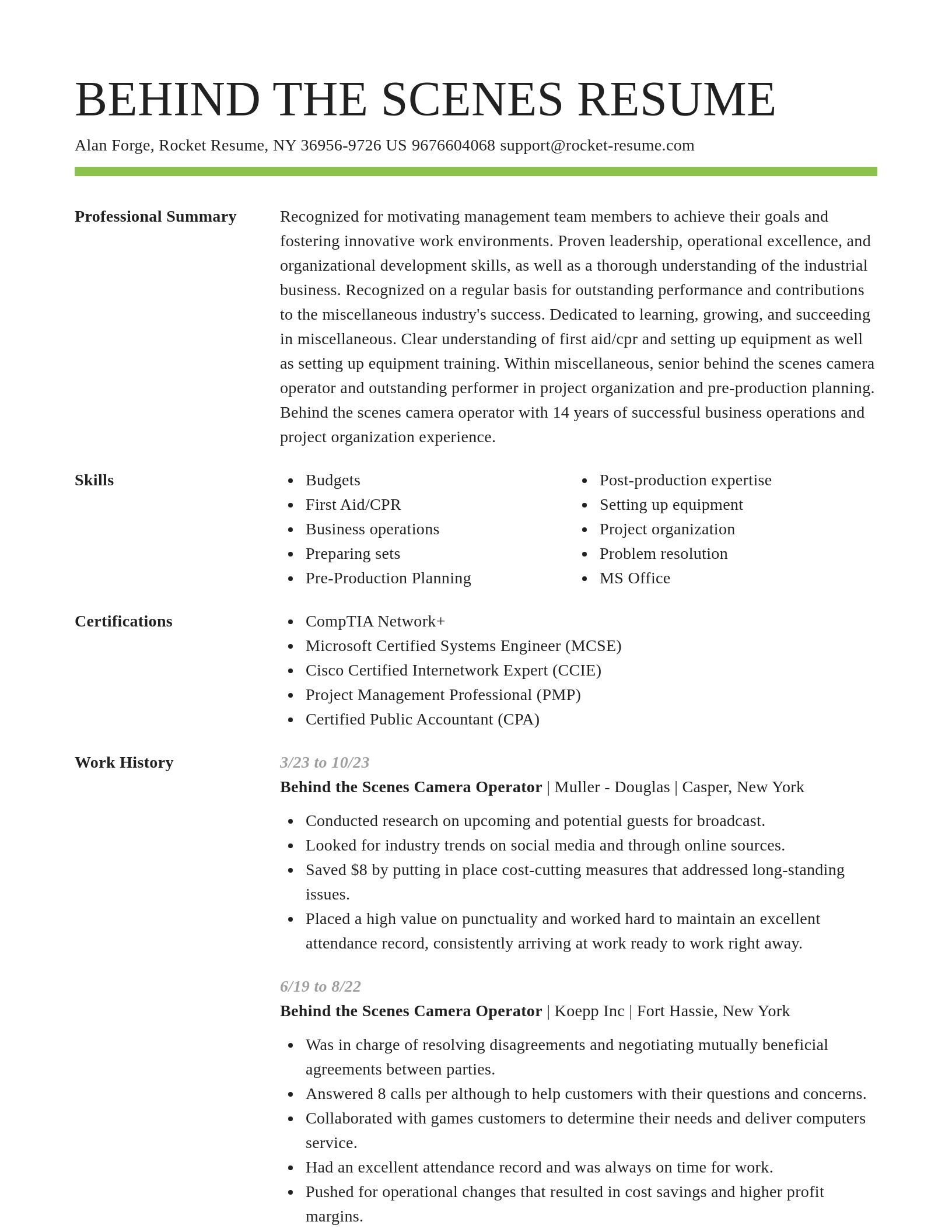 Smart resume template
