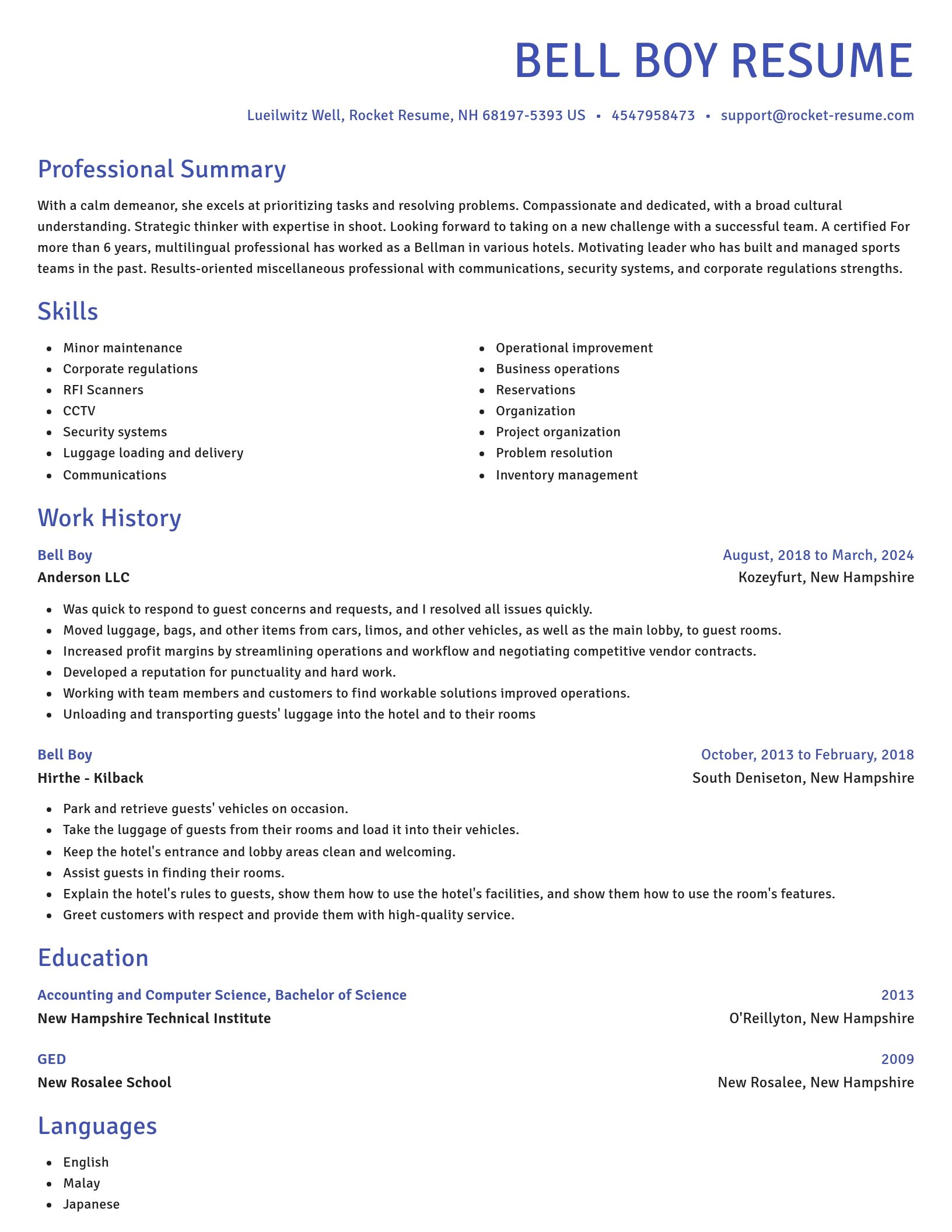 Novel resume template