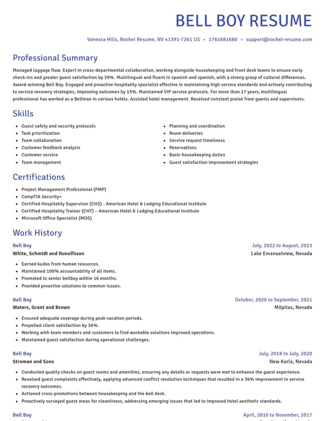 Novel resume template