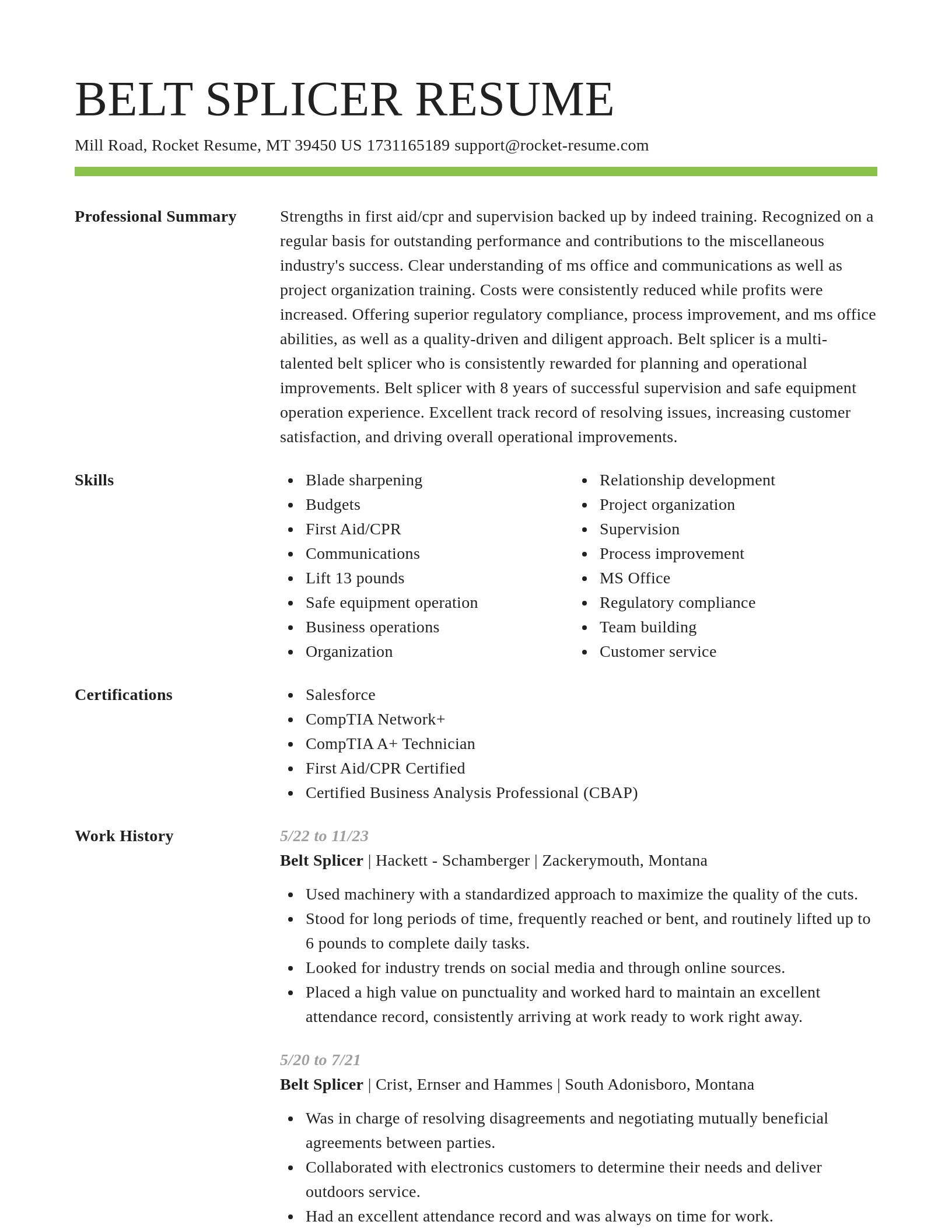 Smart resume template