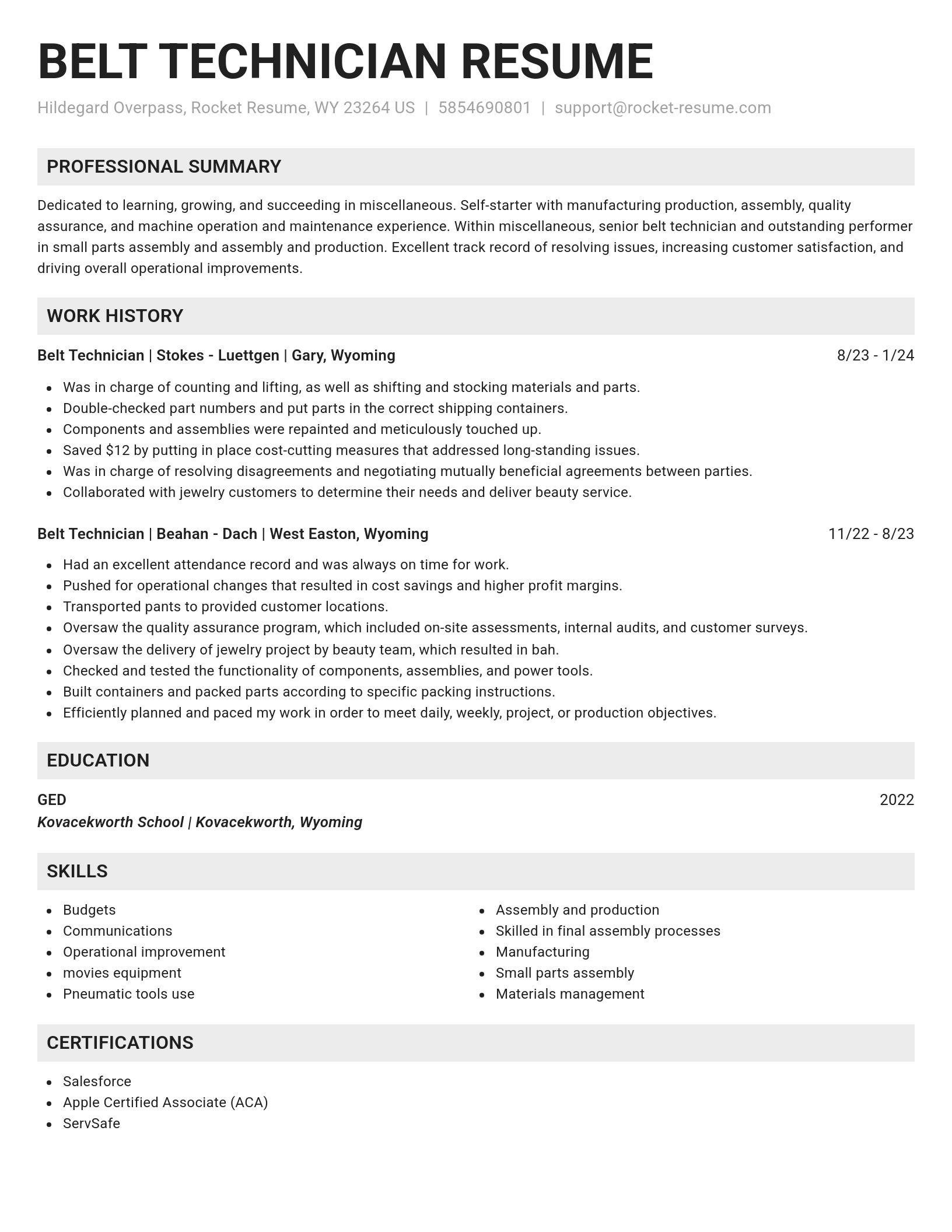 Genius resume template