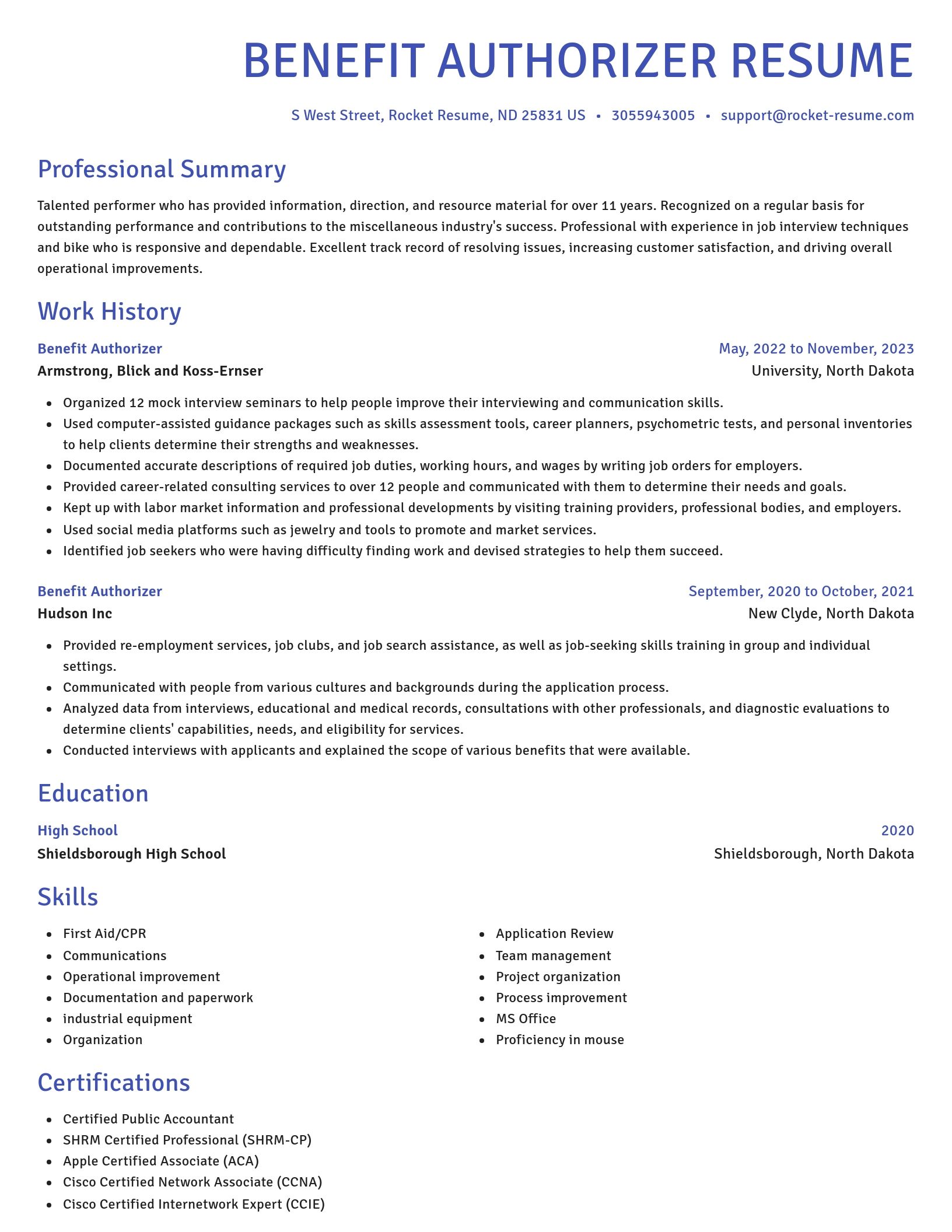 Novel resume template