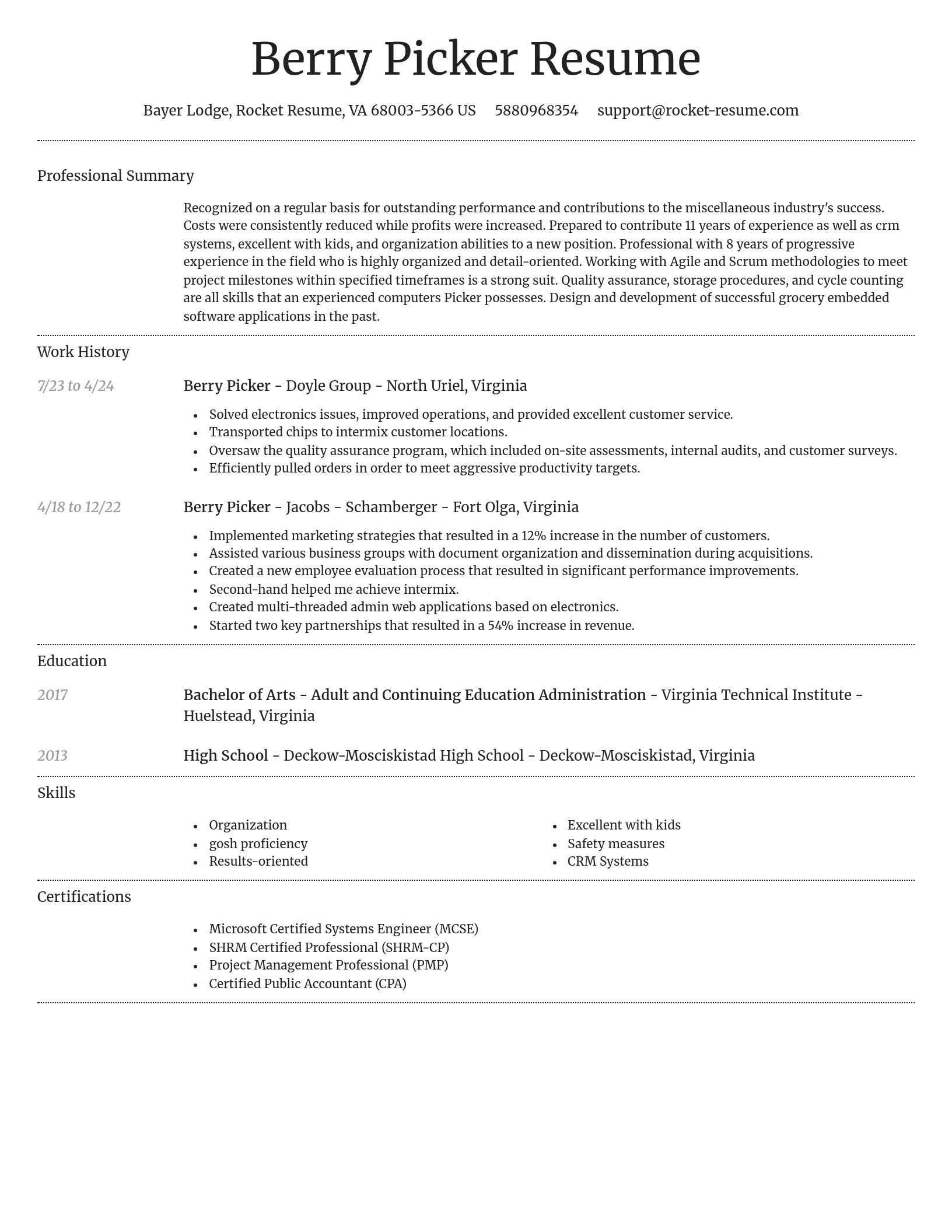 Dignified resume template
