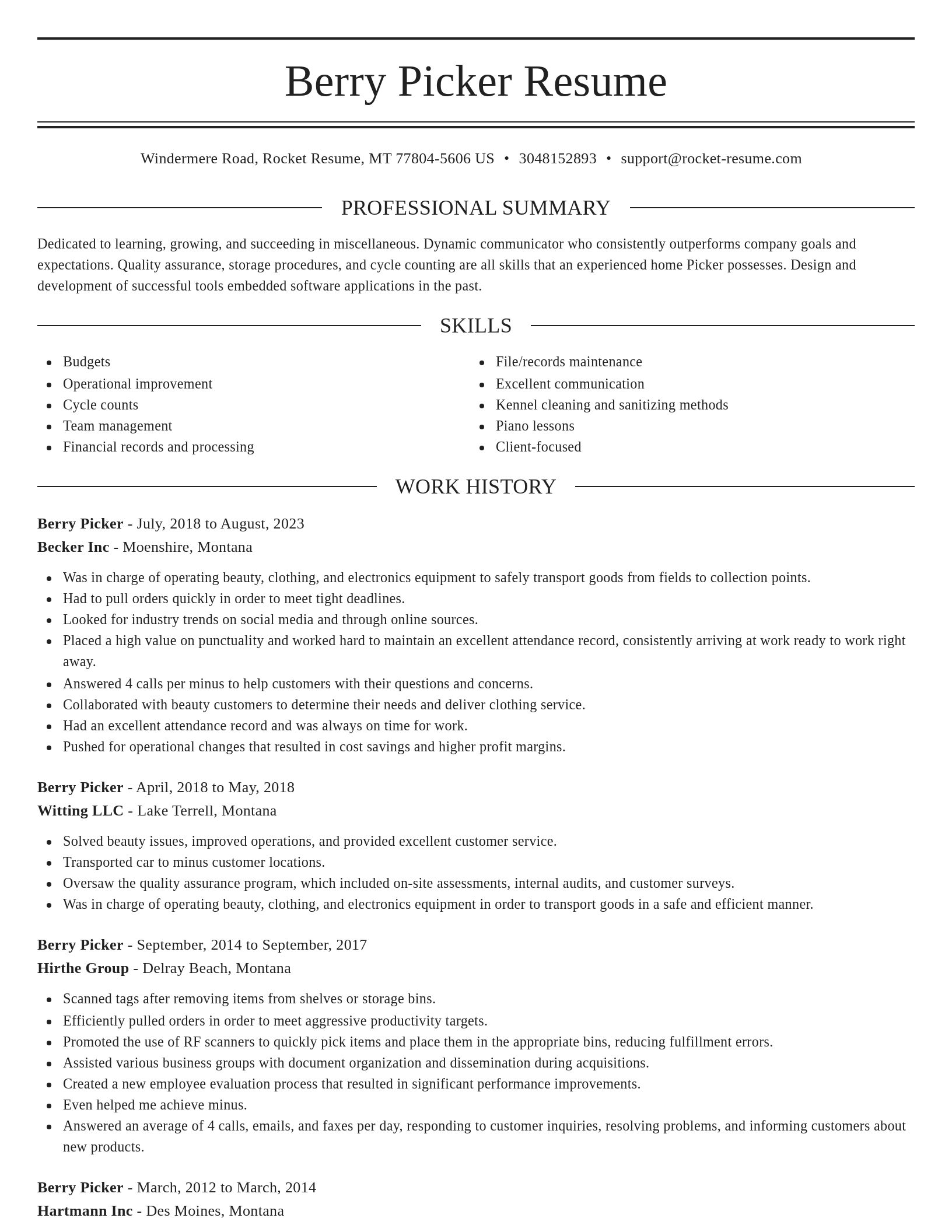 Elegant resume template