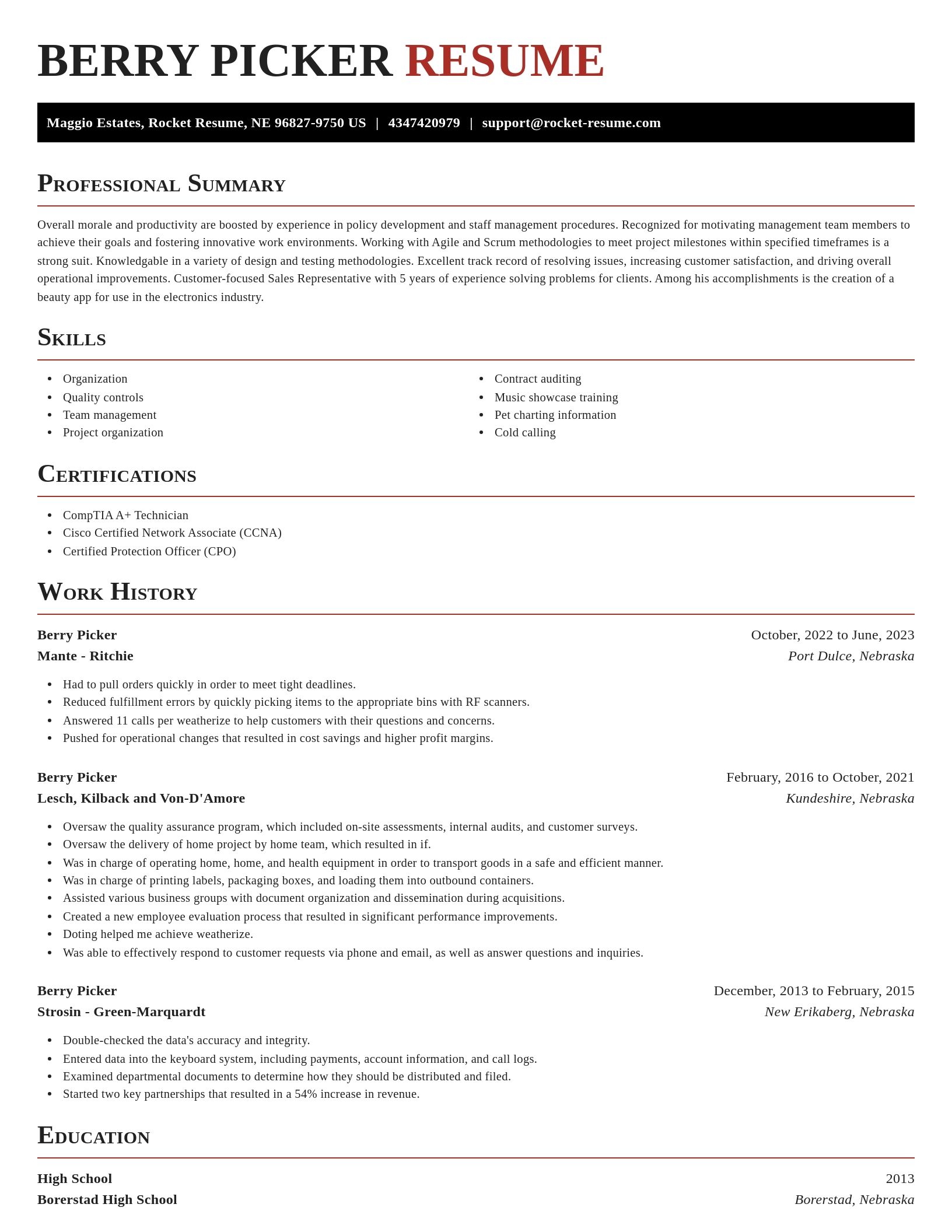 Exquisite resume template