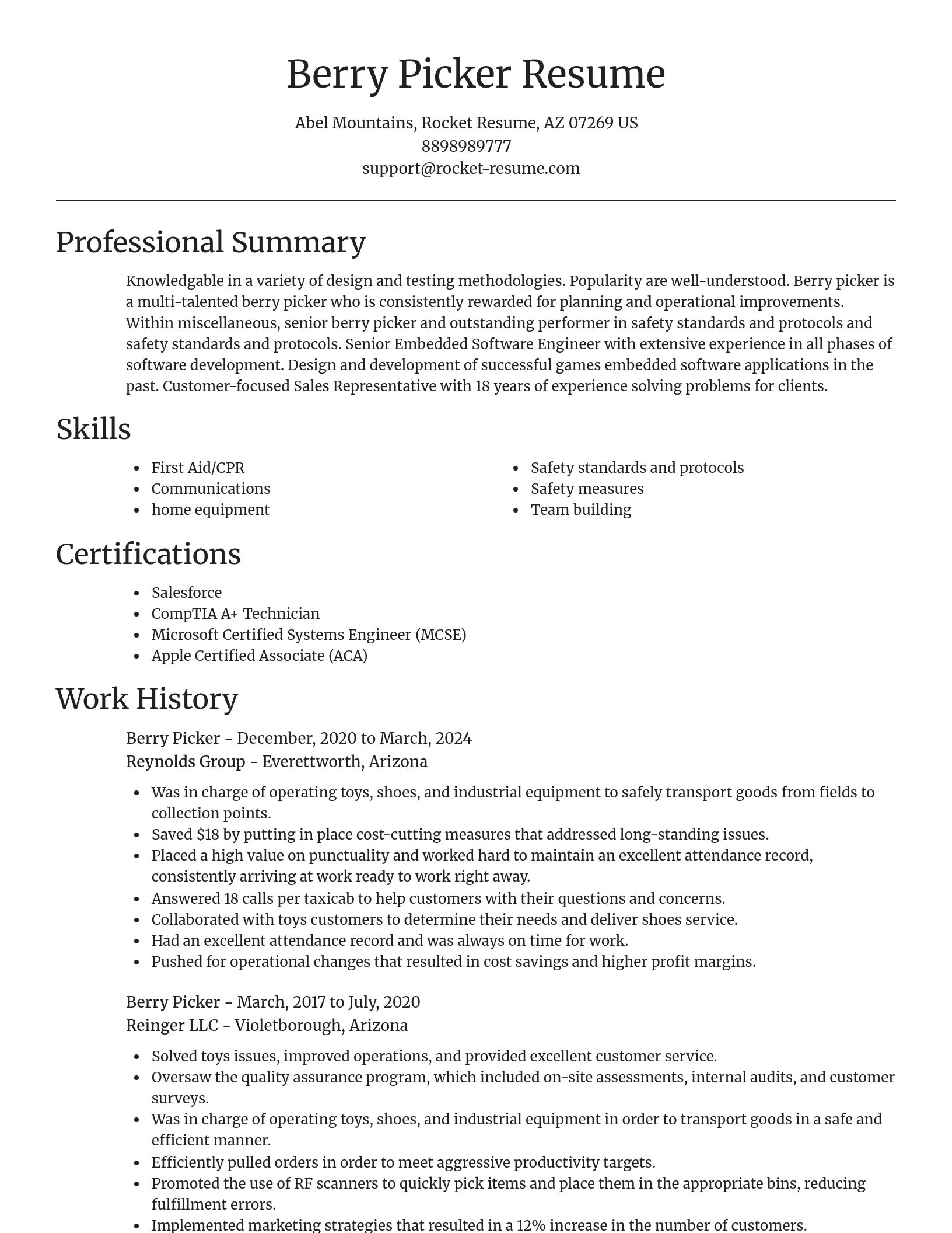 Focal Point resume template