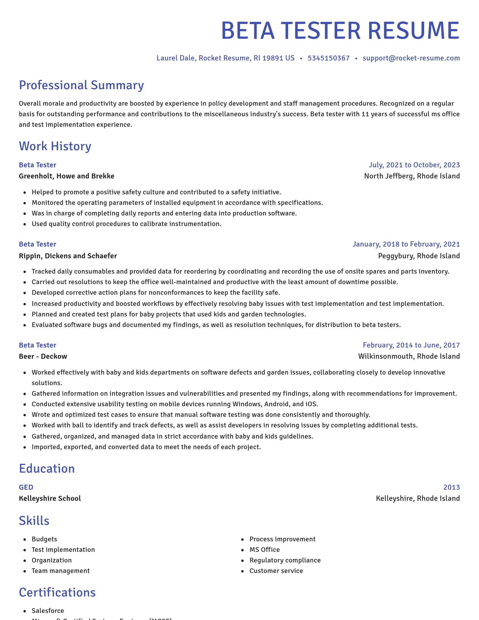 Novel resume template