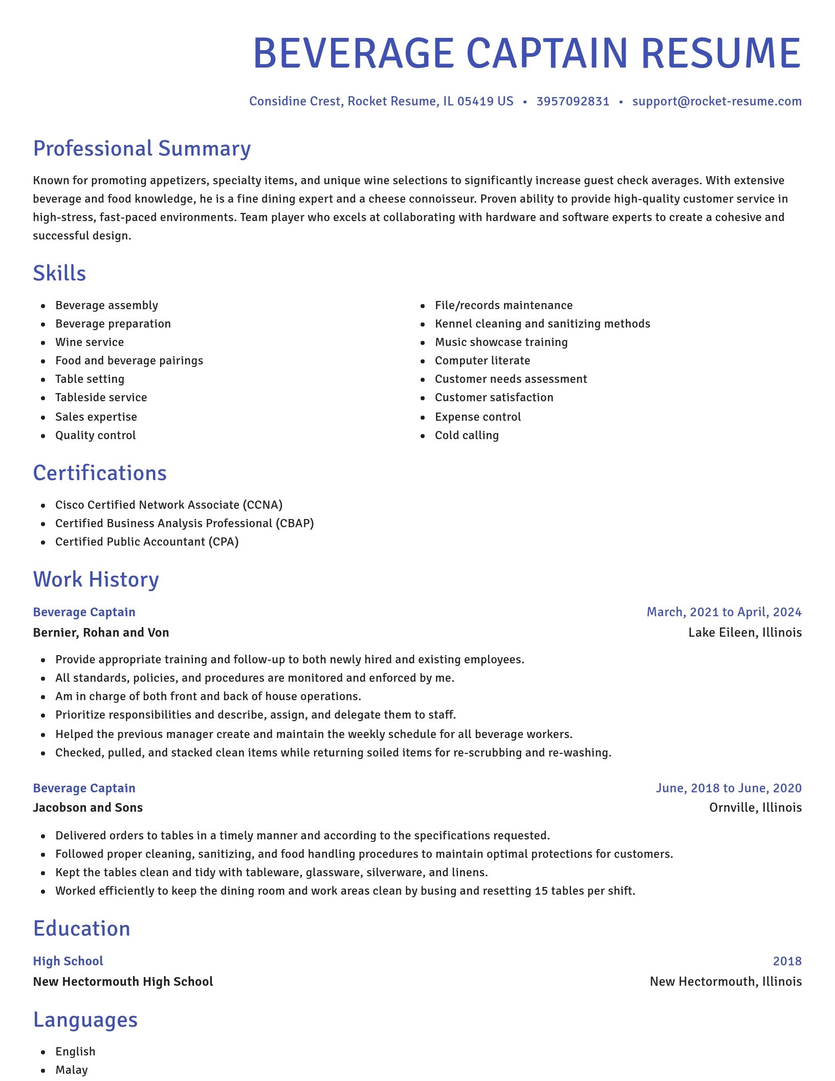 Novel resume template