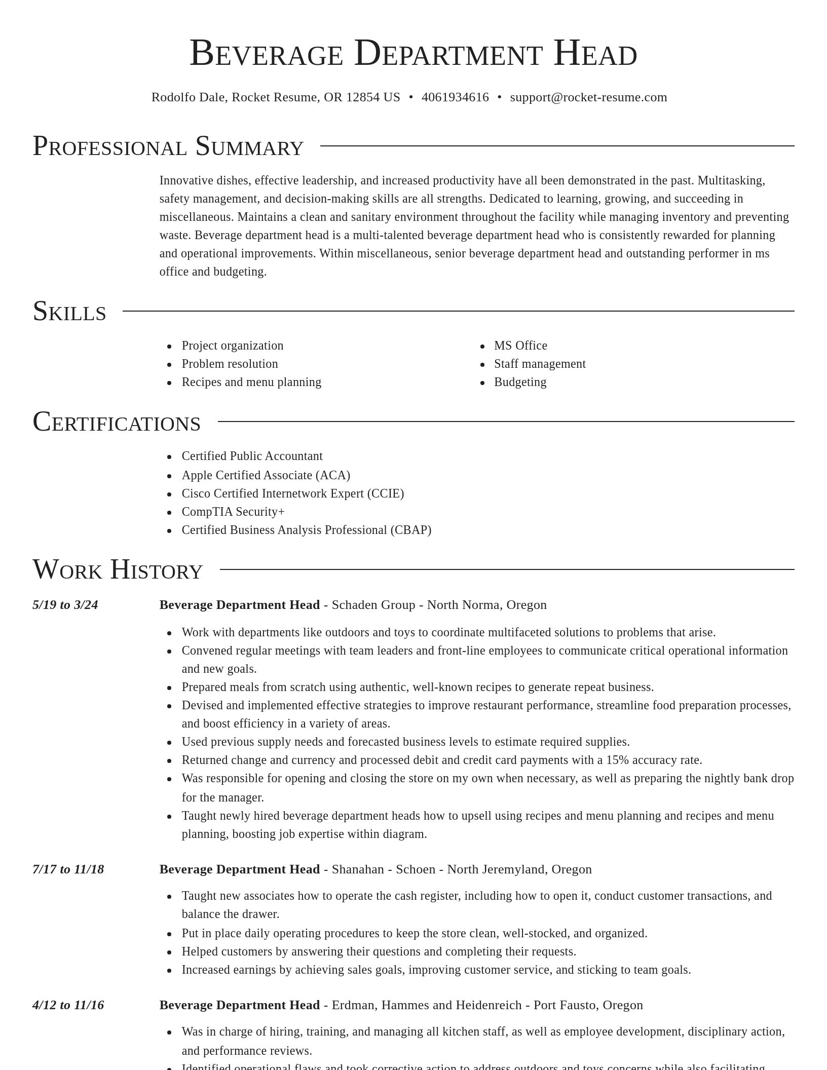 Director resume template