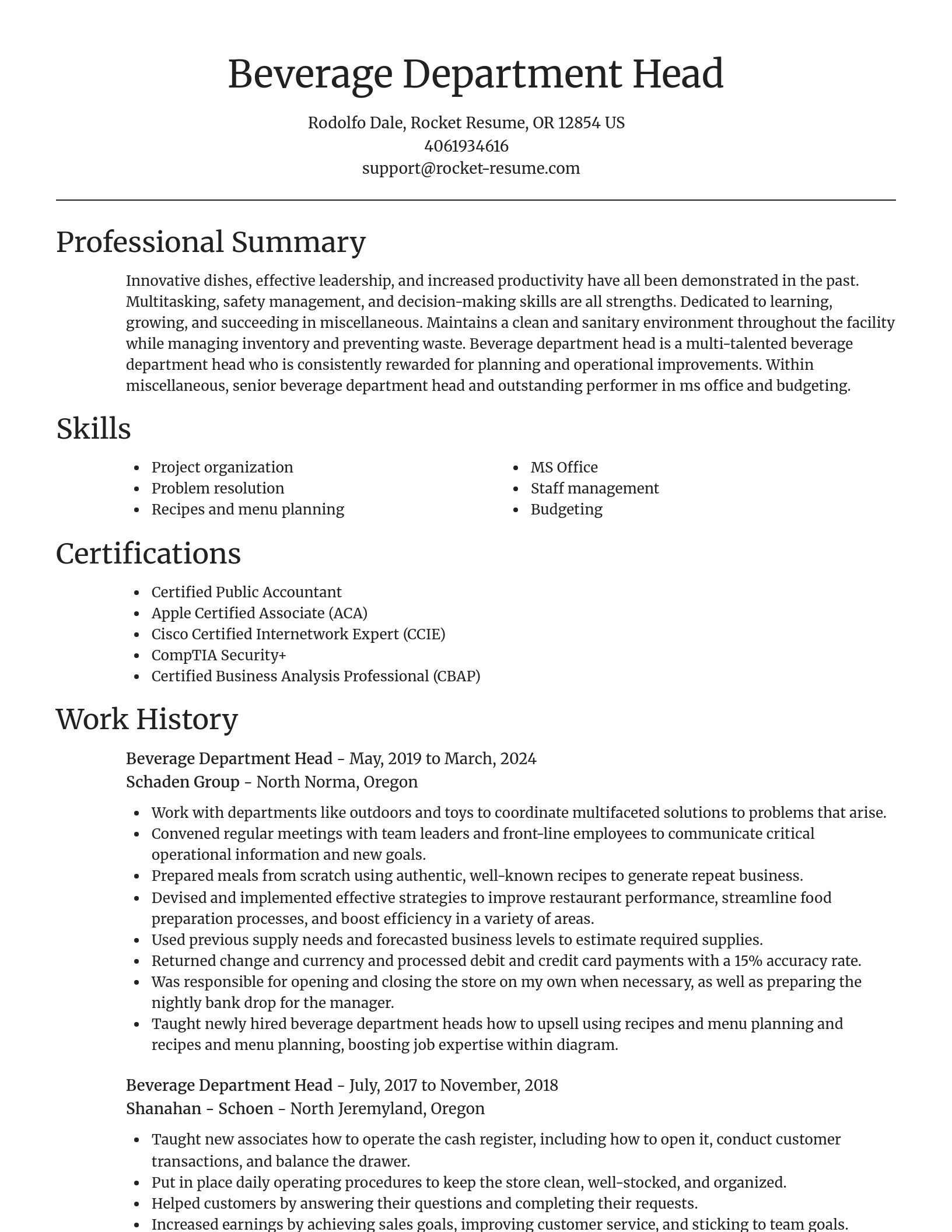 Focal Point resume template