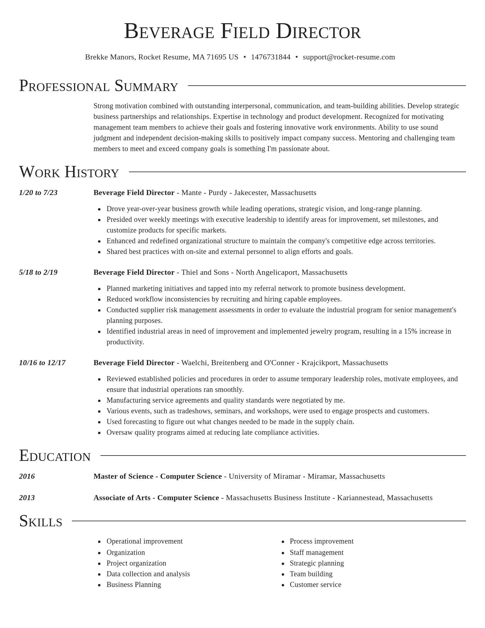 Director resume template