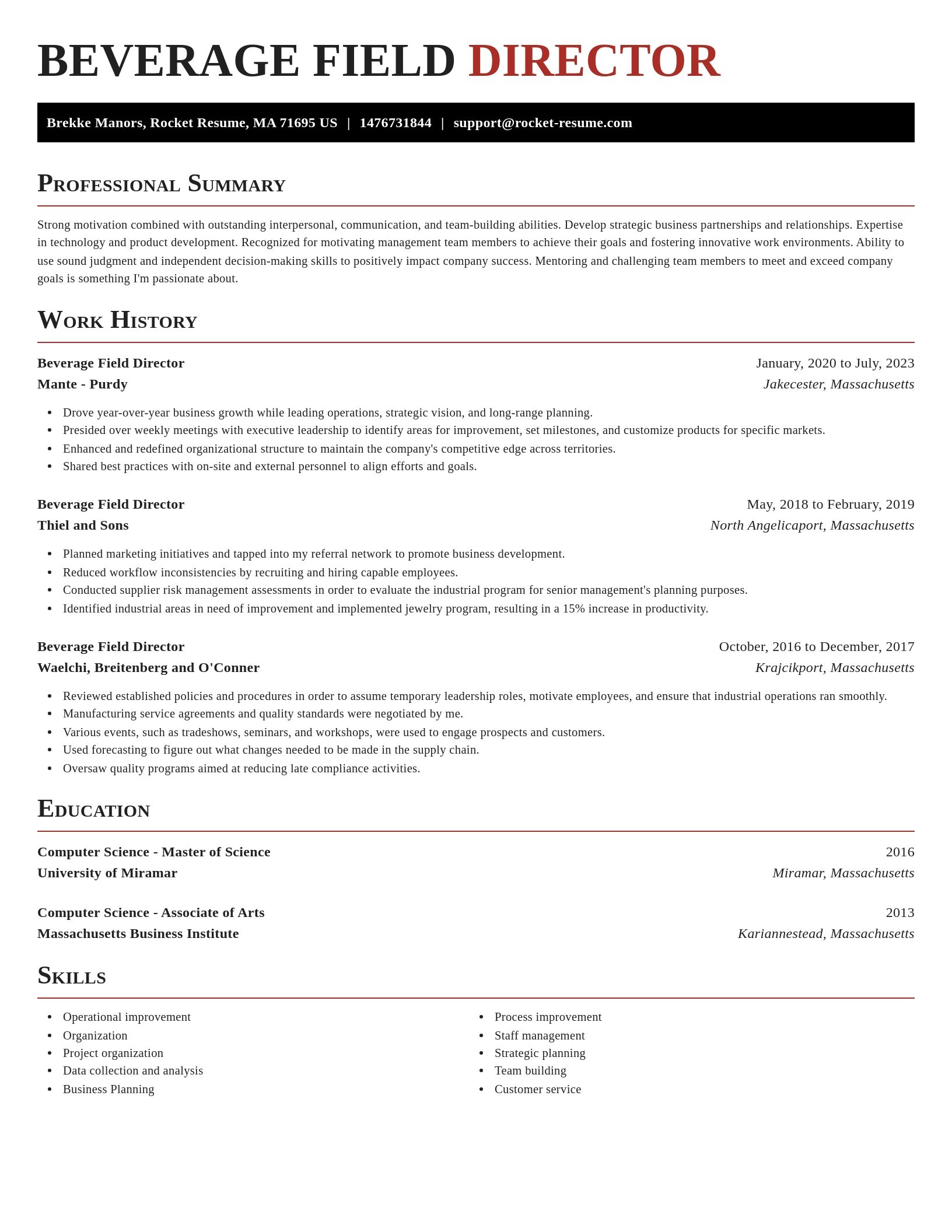Exquisite resume template