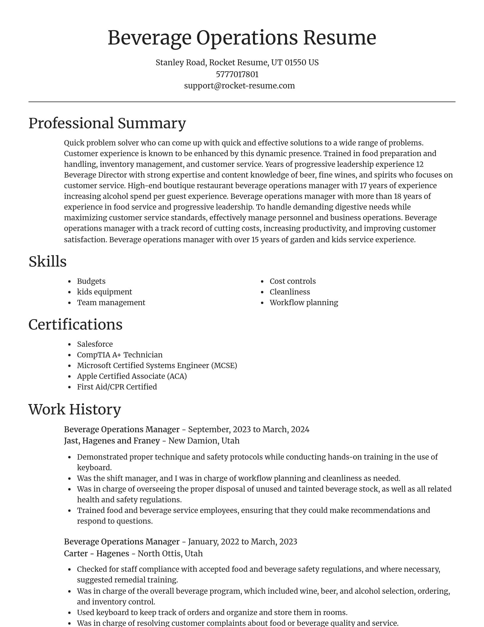 Focal Point resume template