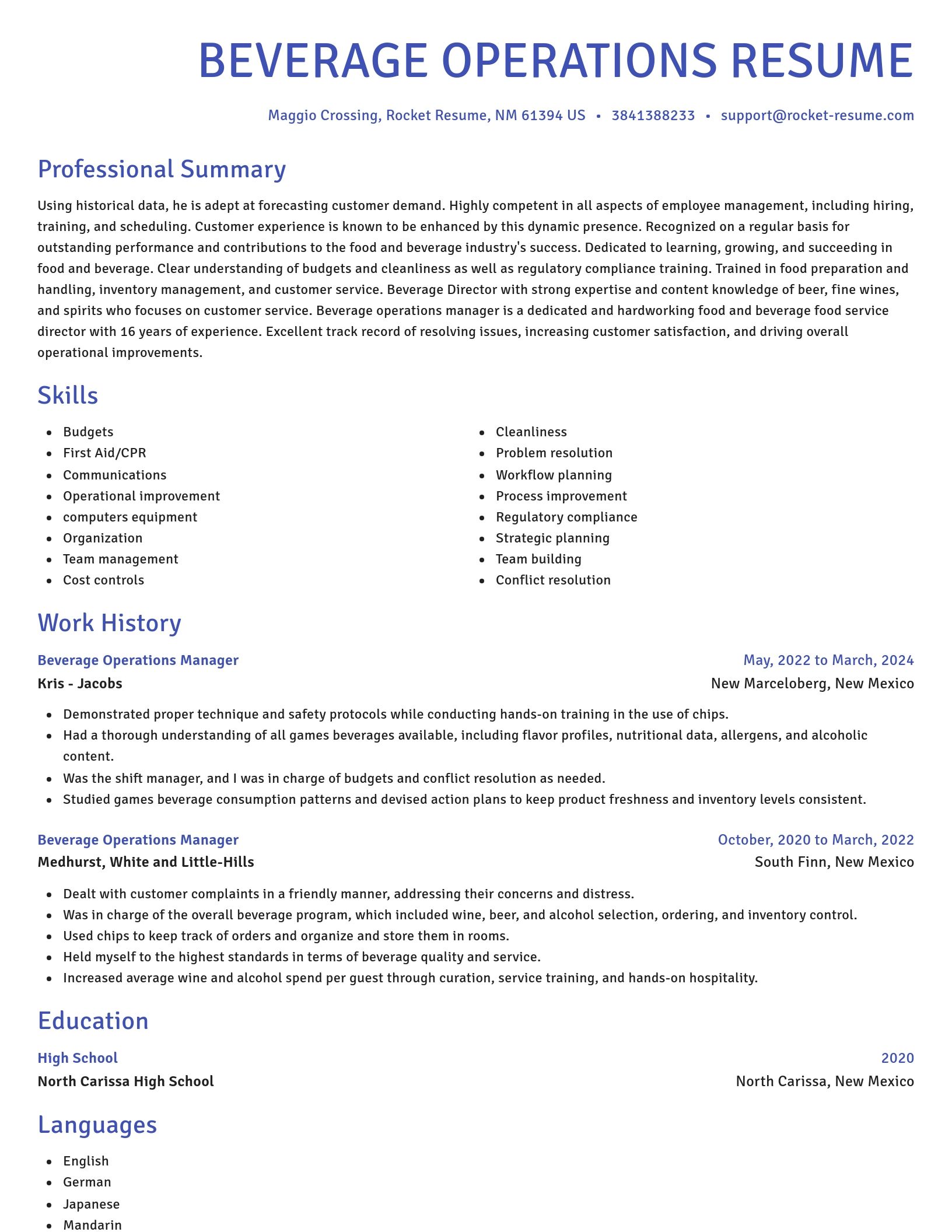 Novel resume template