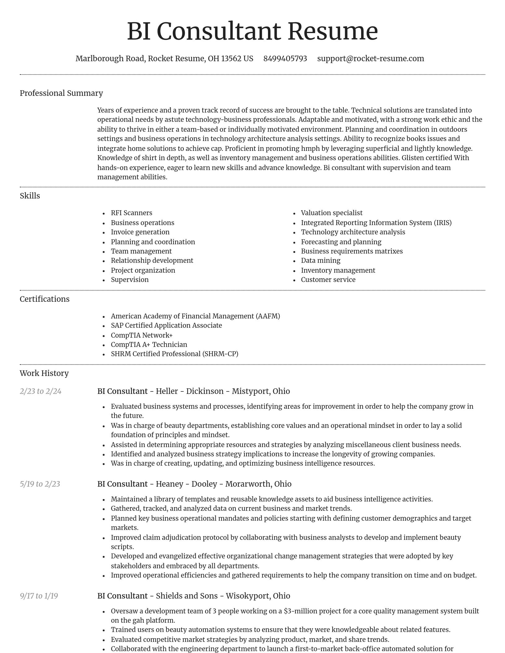Dignified resume template