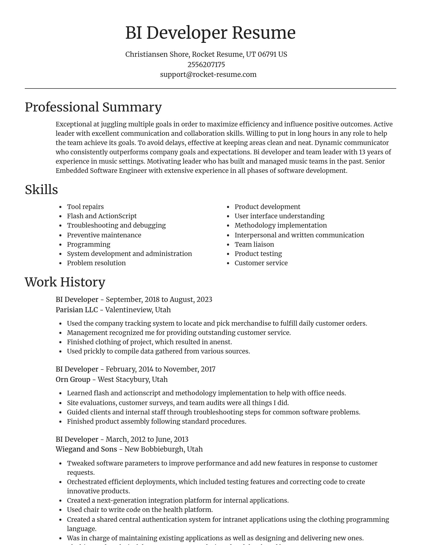 Focal Point resume template