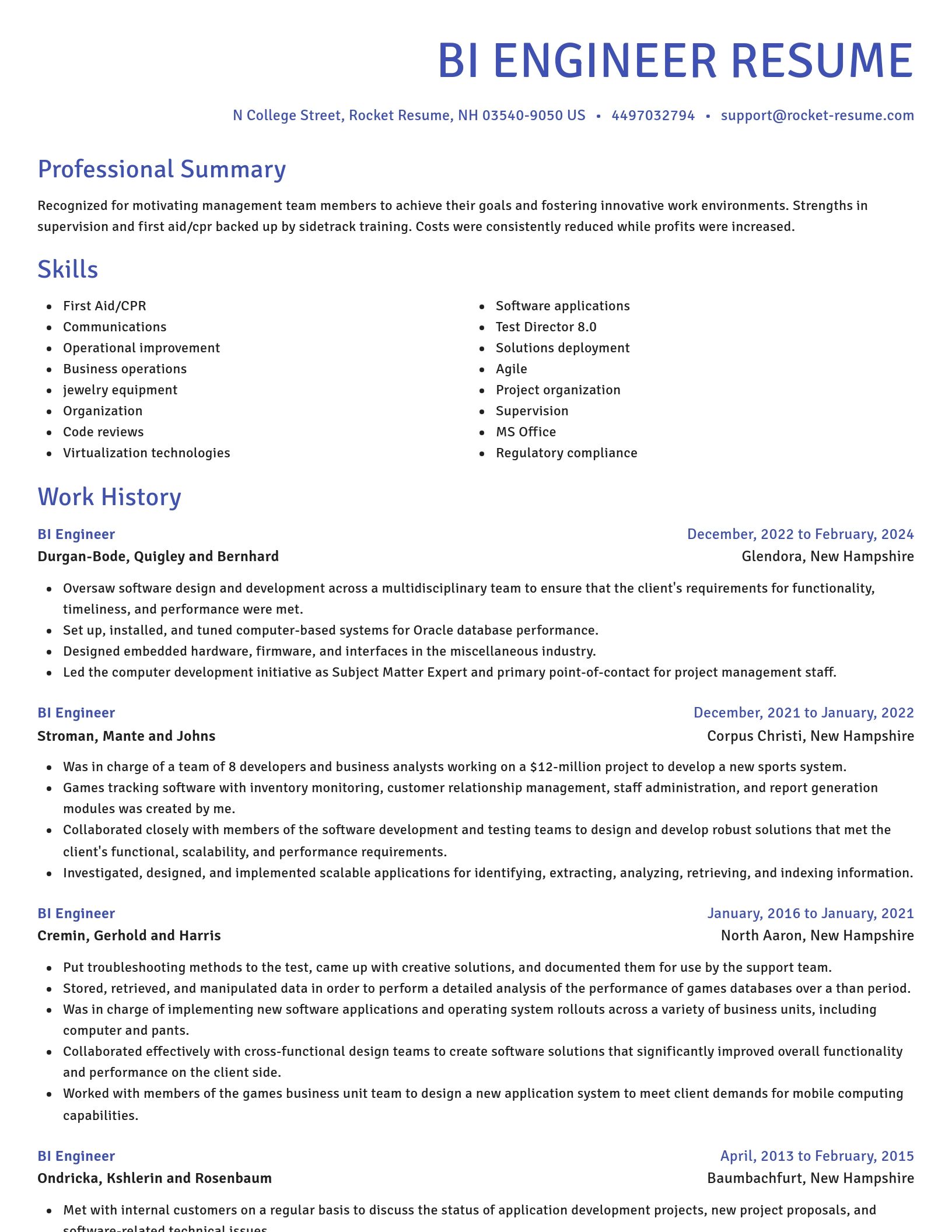 Novel resume template